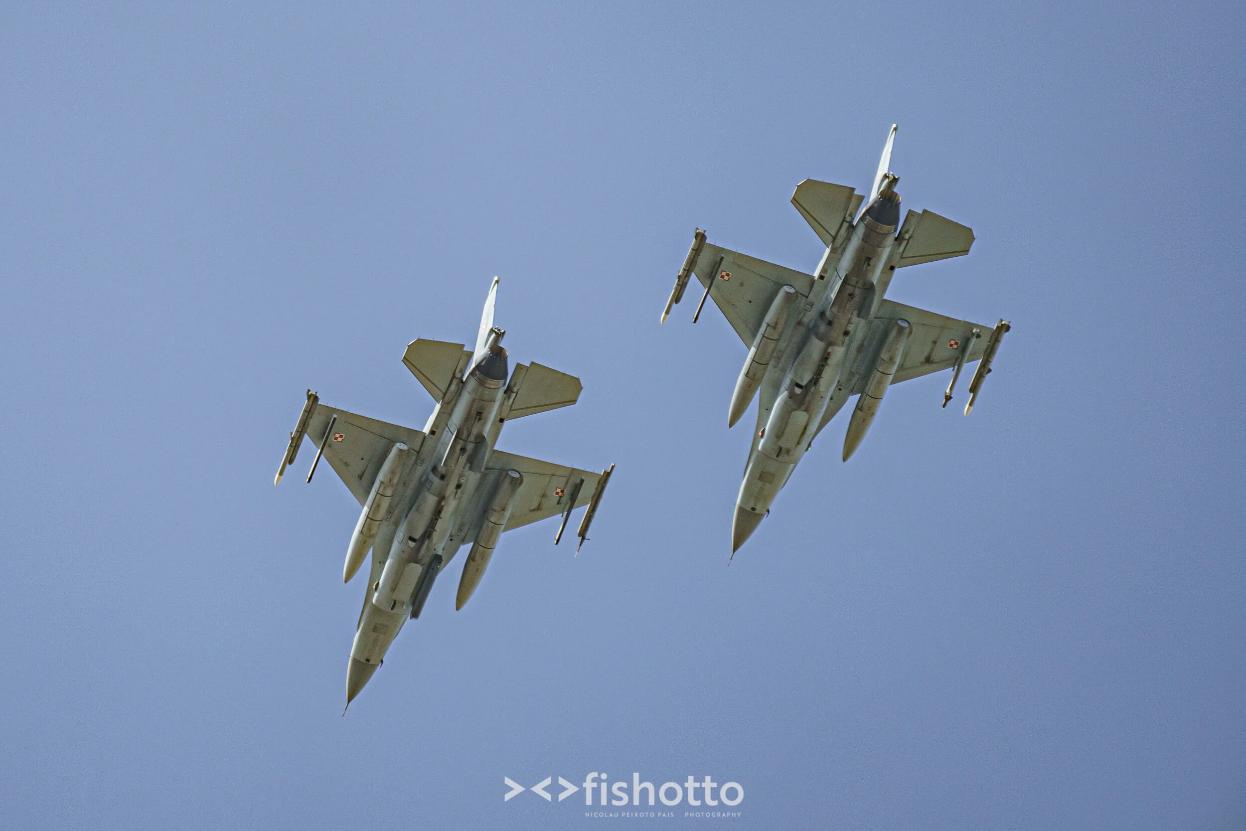 TigerMeet_2021_Best_Color_2500-100.jpg