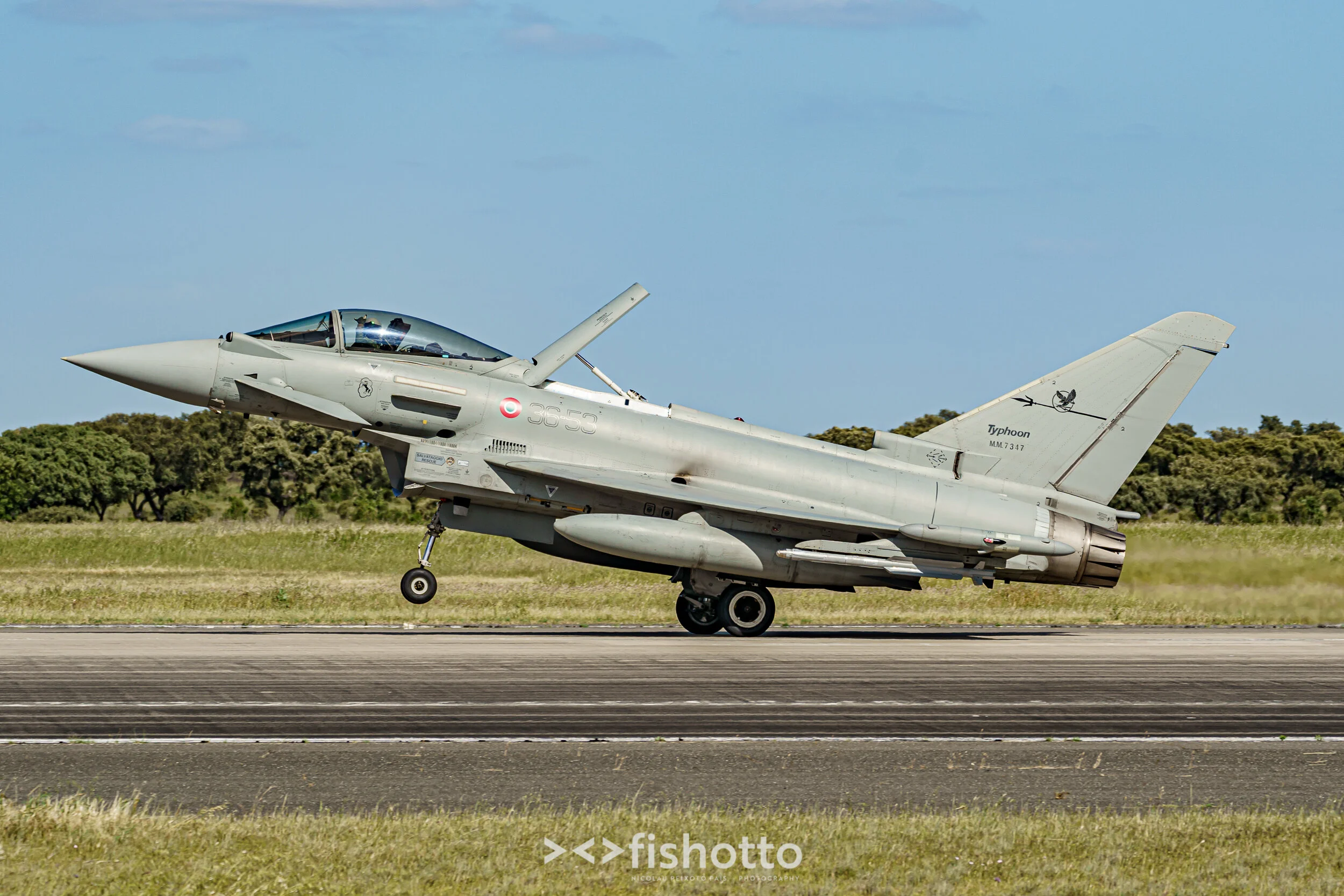 TigerMeet_2021_Best_Color_2500-101.jpg