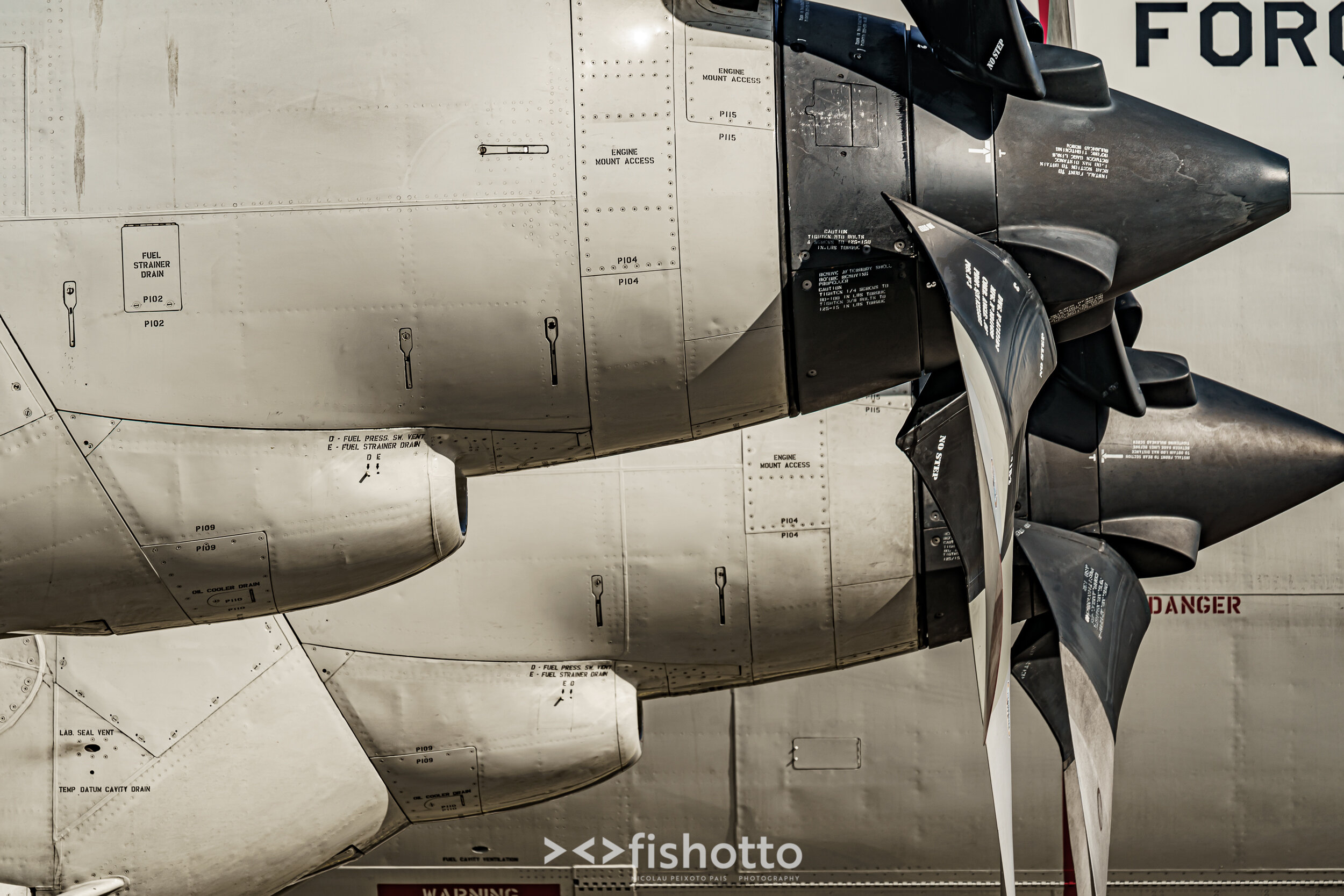 TigerMeet_2021_Best_Color_2500-120.jpg