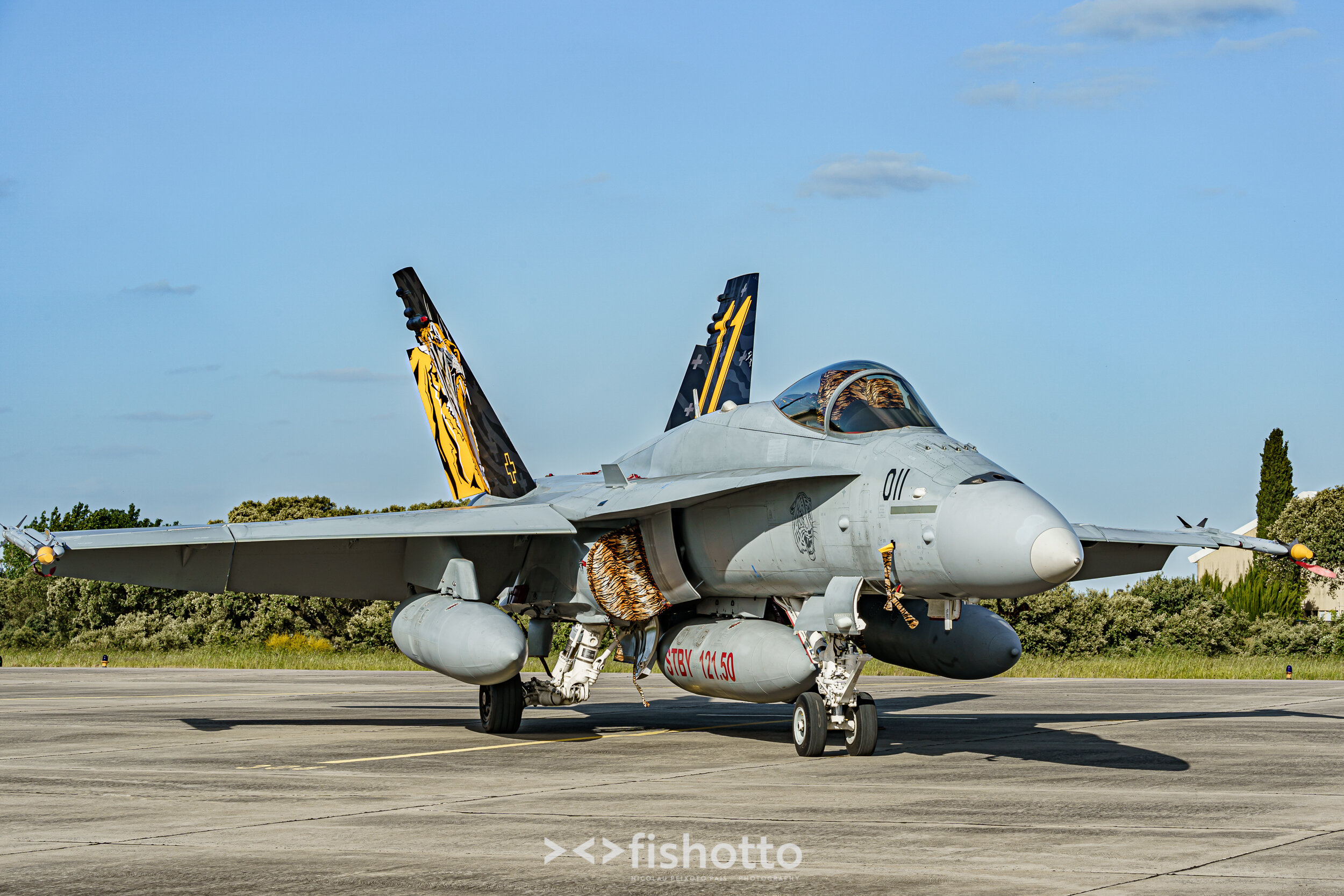 TigerMeet_2021_Best_Color_2500-124.jpg