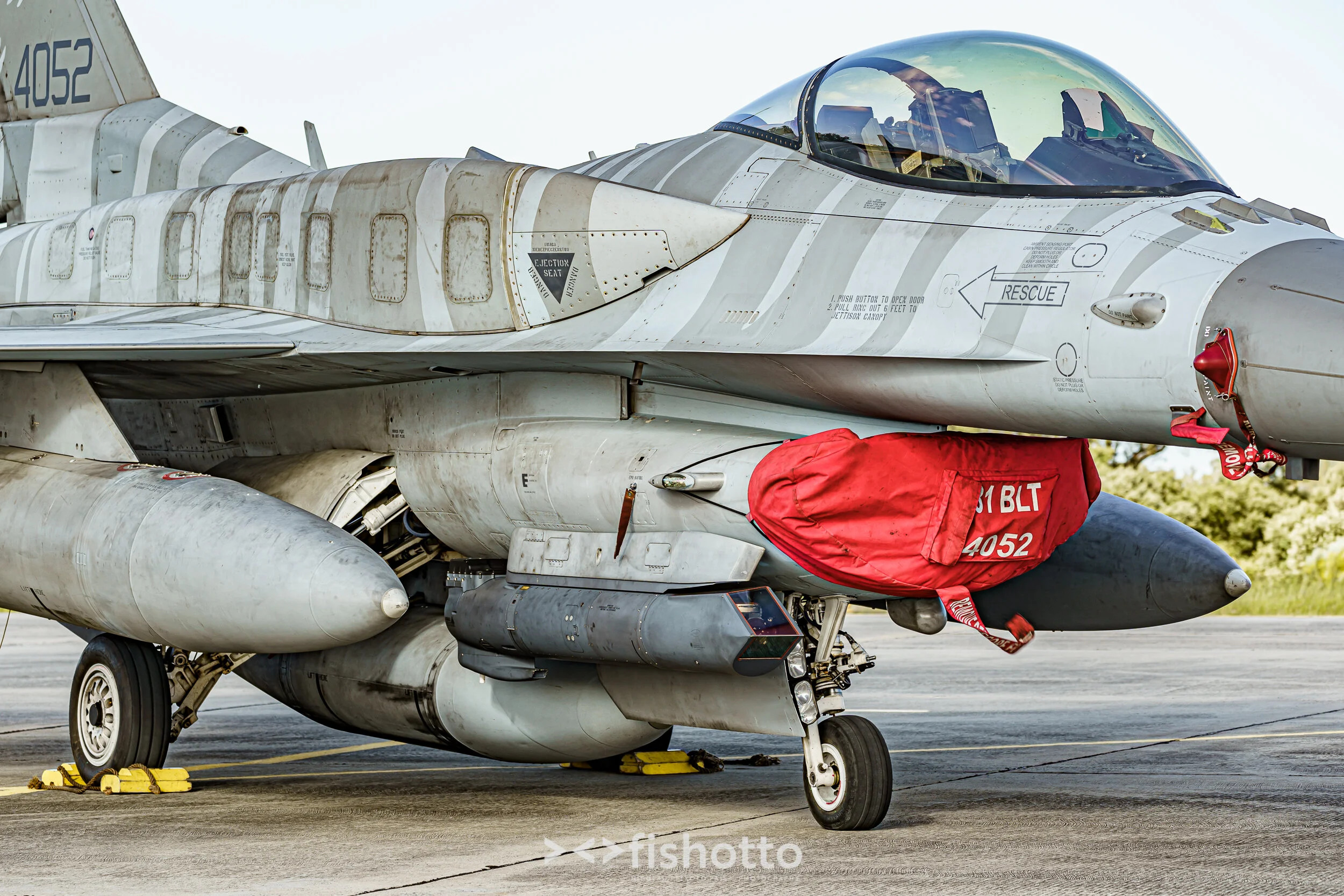 TigerMeet_2021_Best_Color_2500-127.jpg