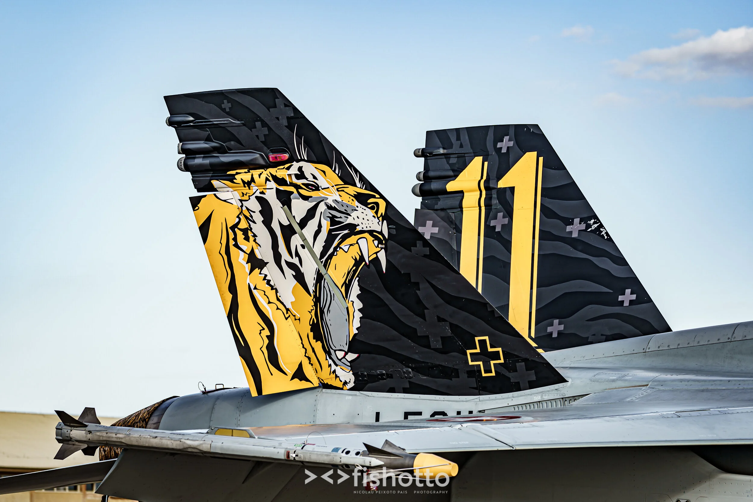 TigerMeet_2021_Best_Color_2500-128.jpg