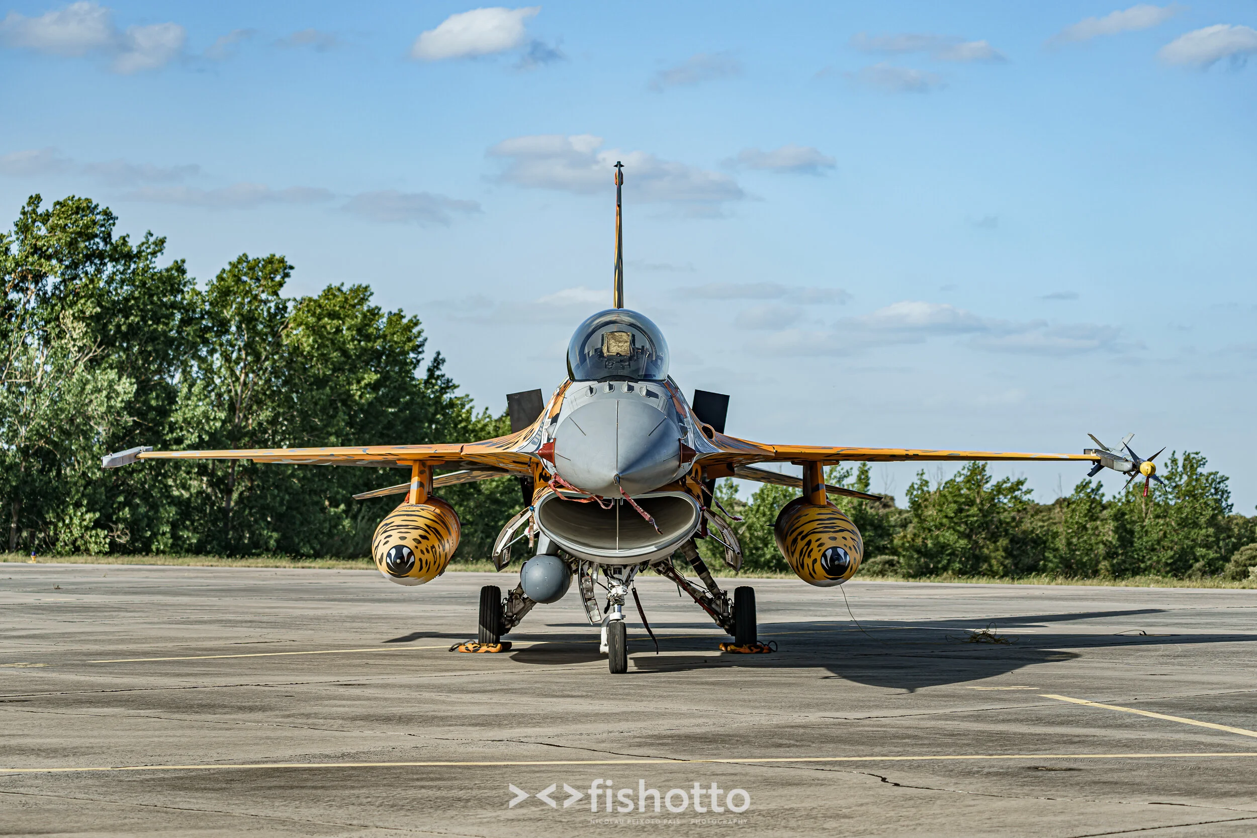 TigerMeet_2021_Best_Color_2500-129.jpg