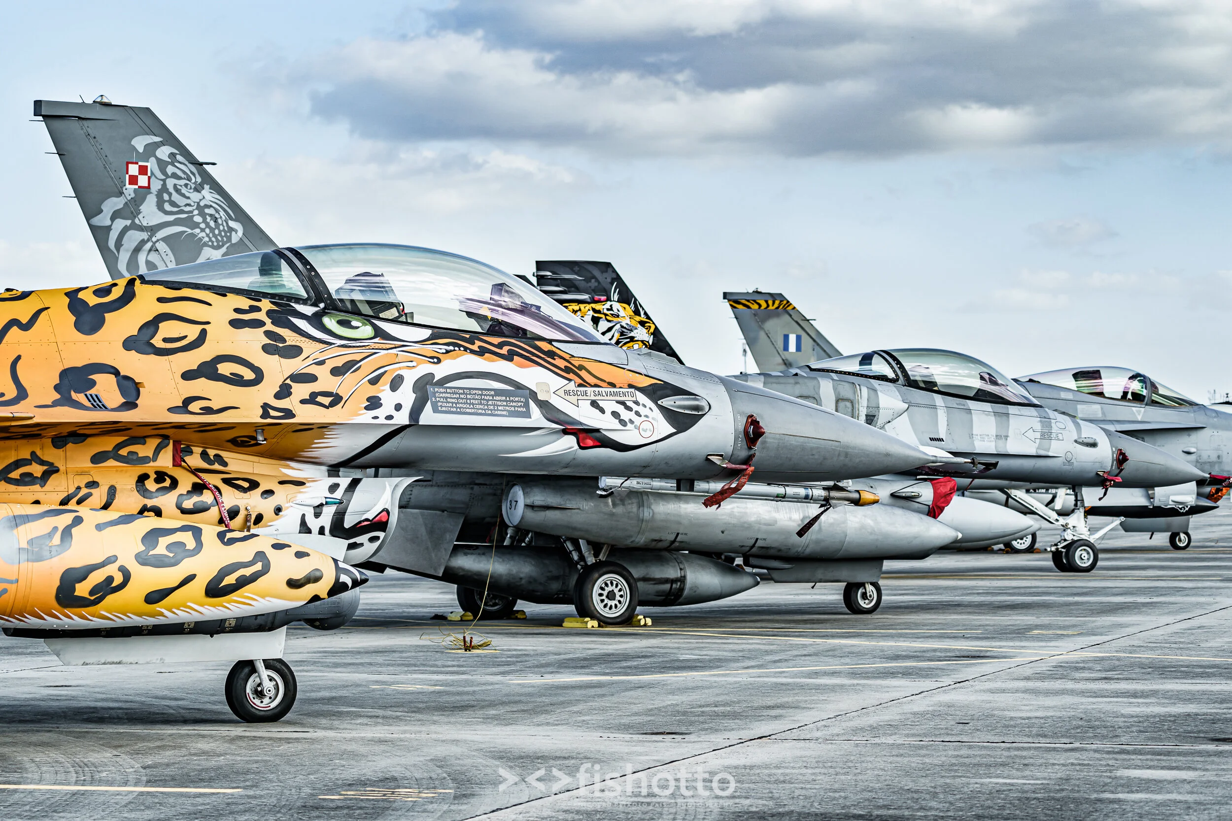 TigerMeet_2021_Best_Color_2500-130.jpg
