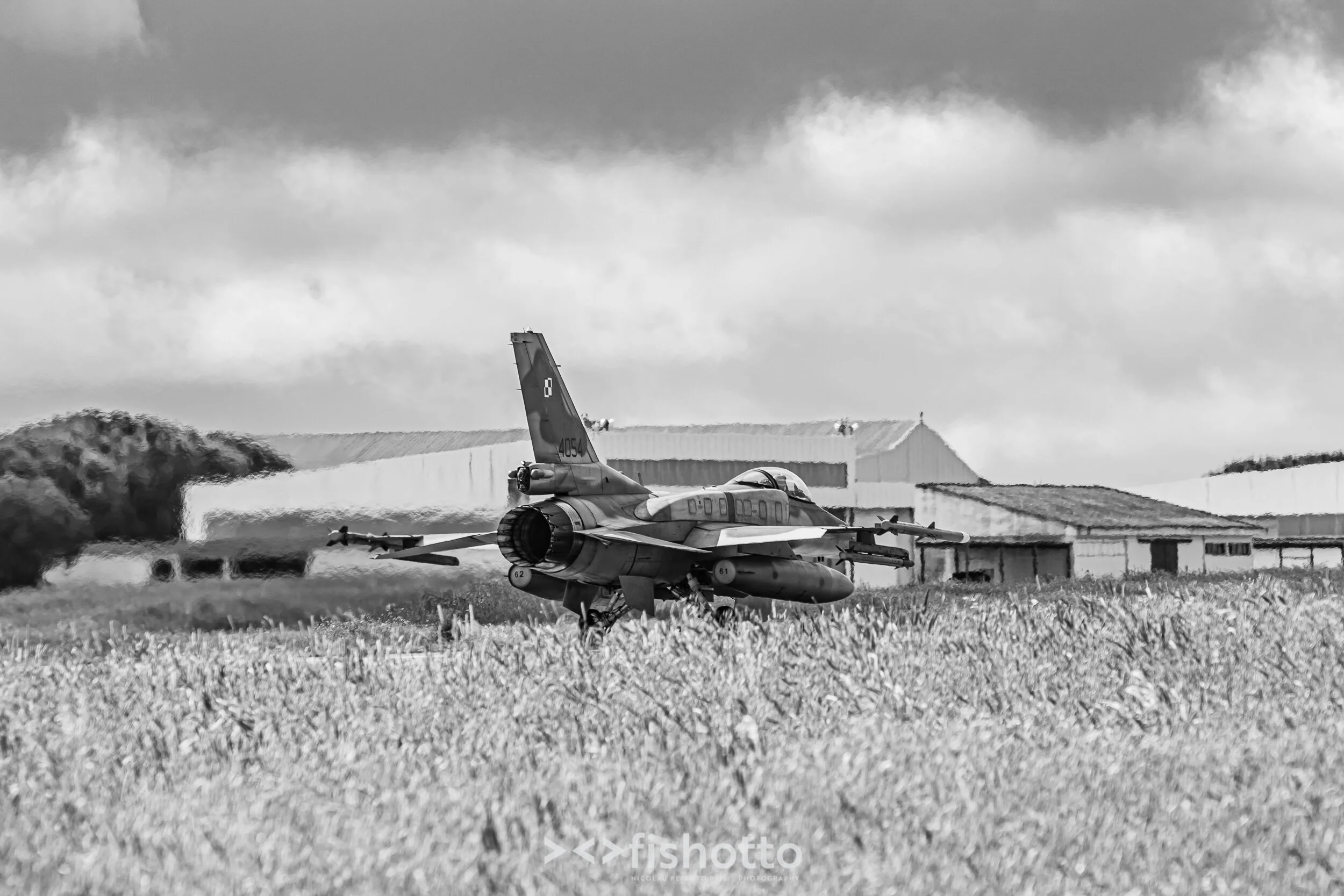 TigerMeet_2021_Best_B&W_2500-11.jpg