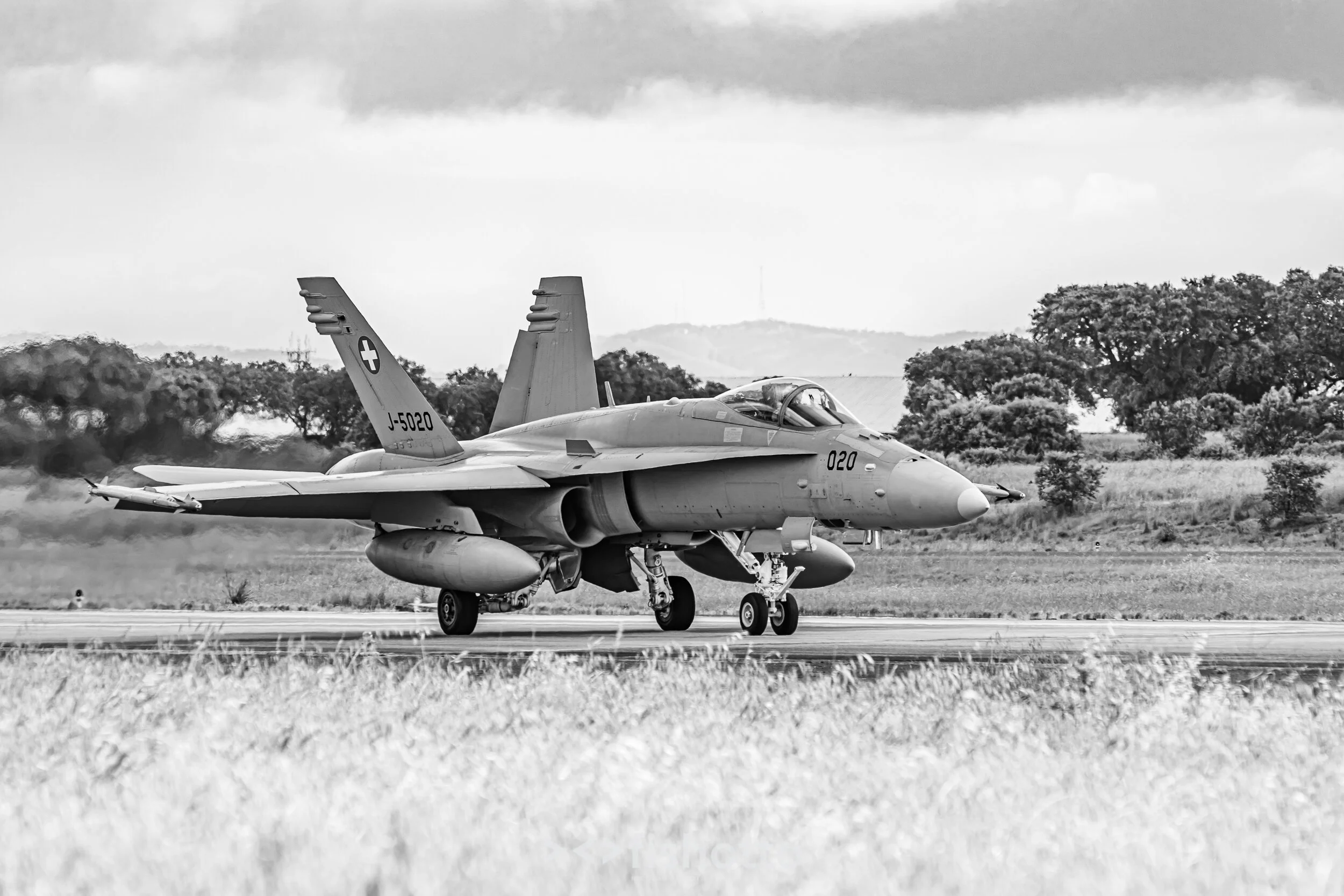 TigerMeet_2021_Best_B&W_2500-12.jpg