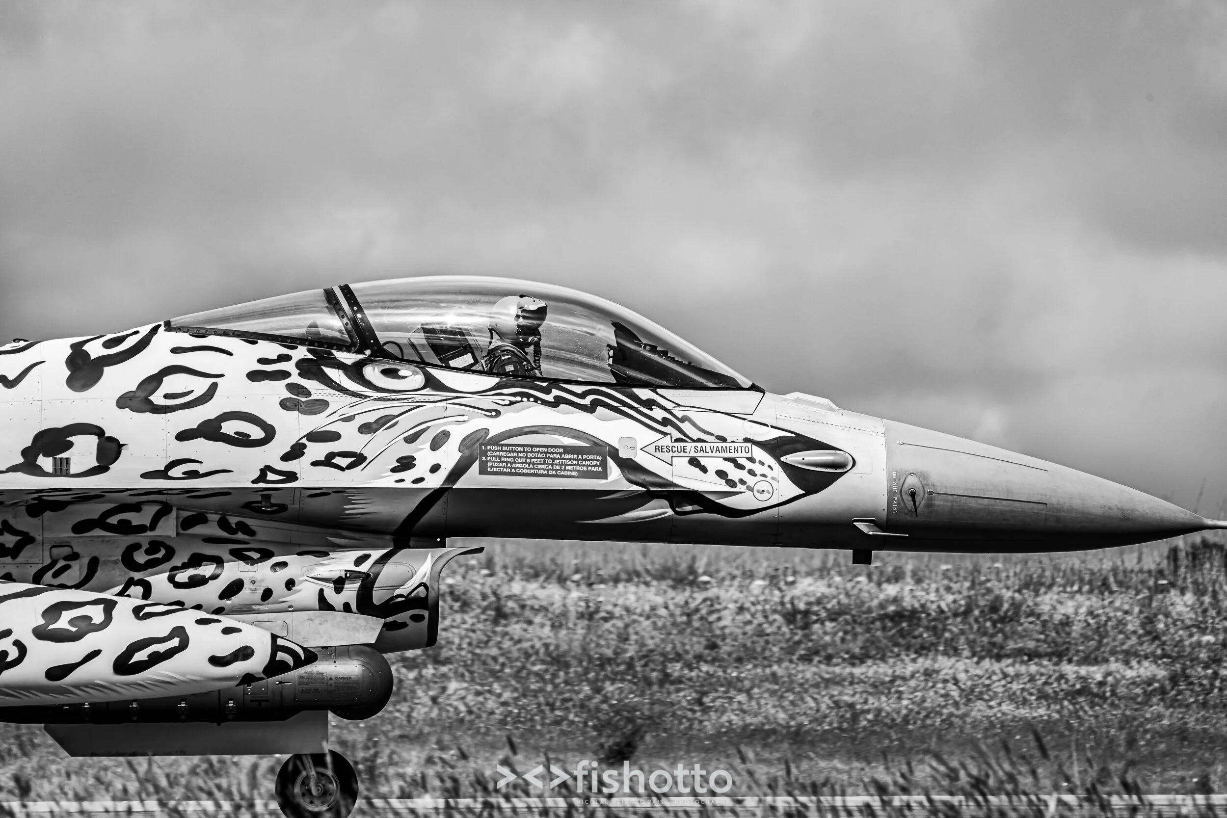 TigerMeet_2021_Best_B&W_2500-13.jpg