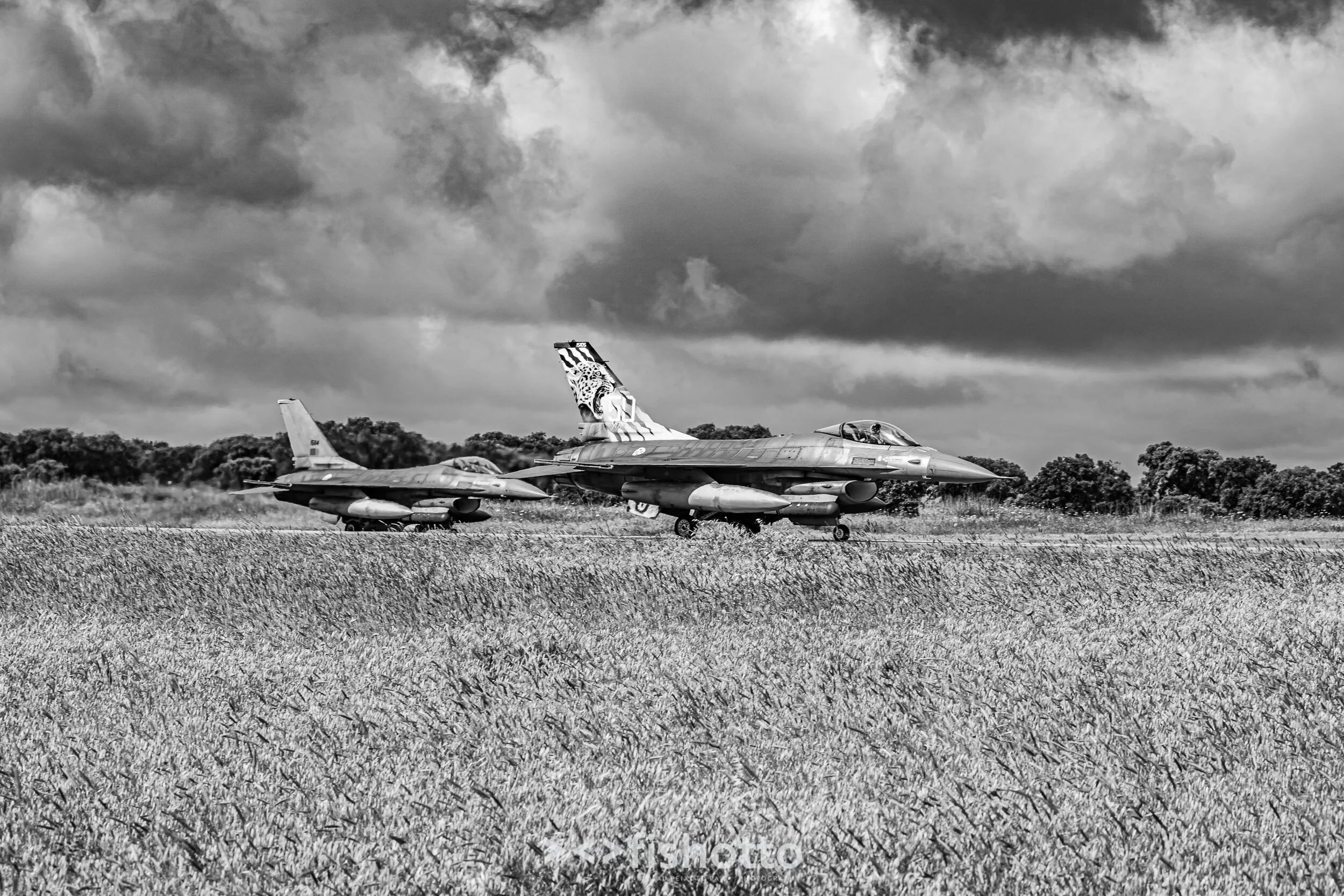 TigerMeet_2021_Best_B&W_2500-14.jpg