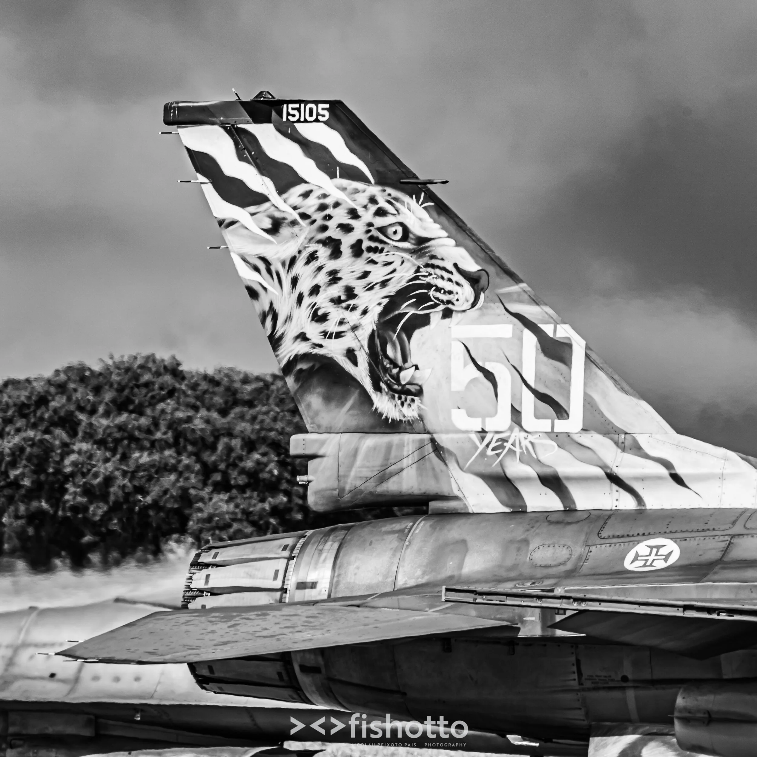 TigerMeet_2021_Best_B&W_2500-16.jpg