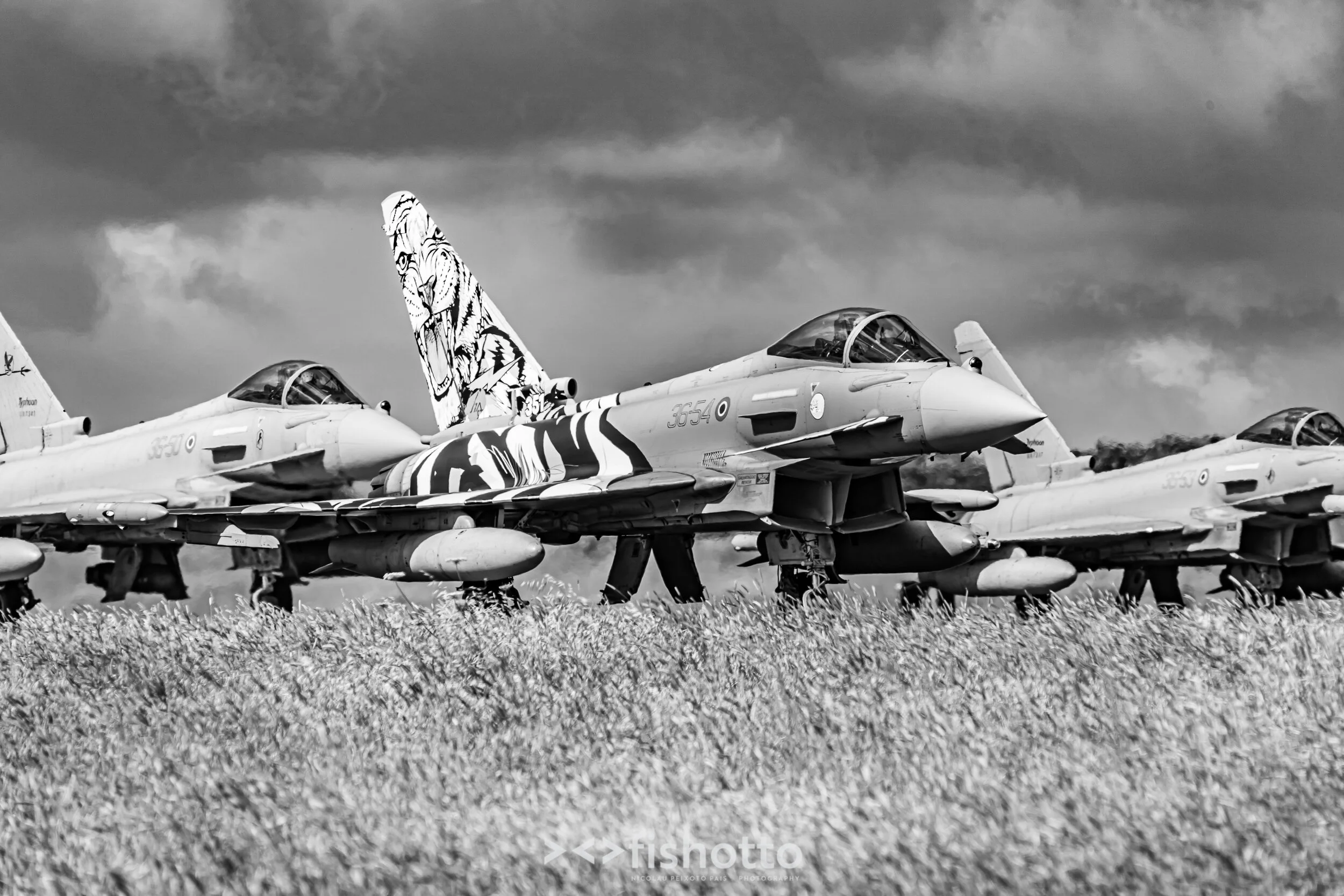 TigerMeet_2021_Best_B&W_2500-17.jpg