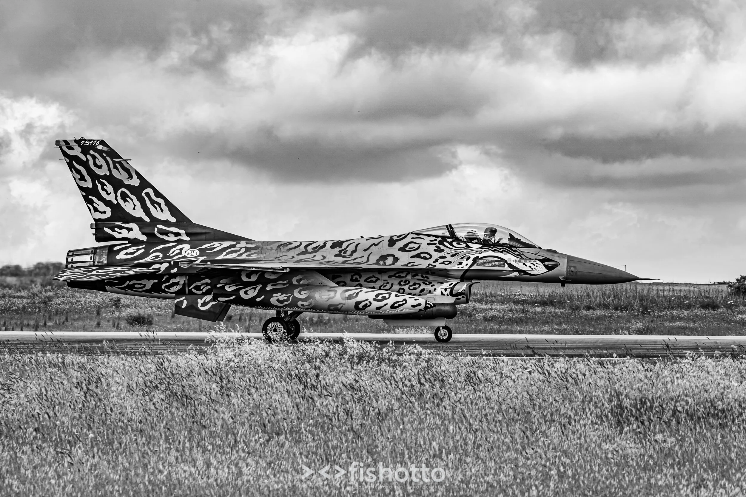 TigerMeet_2021_Best_B&W_2500-18.jpg