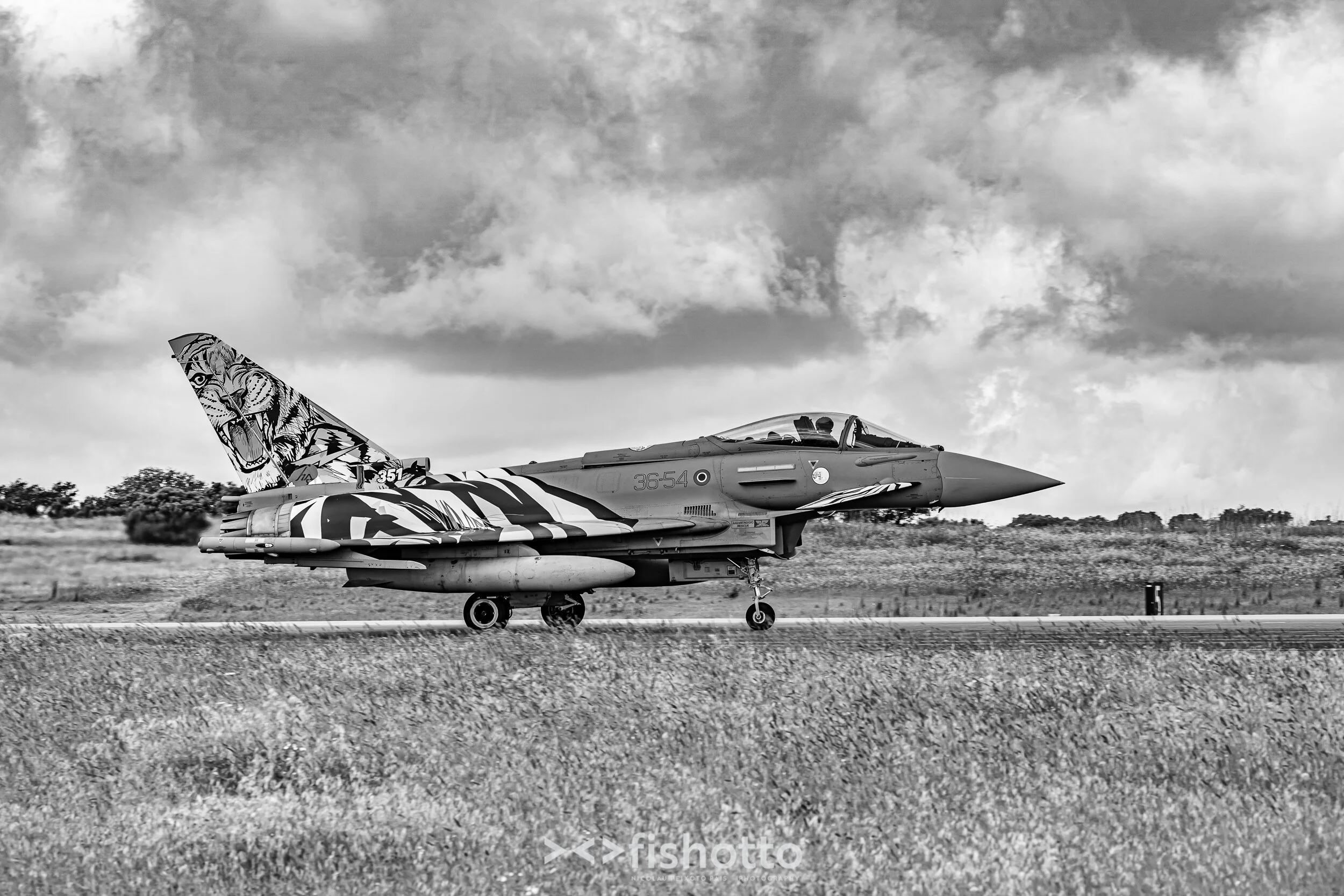 TigerMeet_2021_Best_B&W_2500-19.jpg