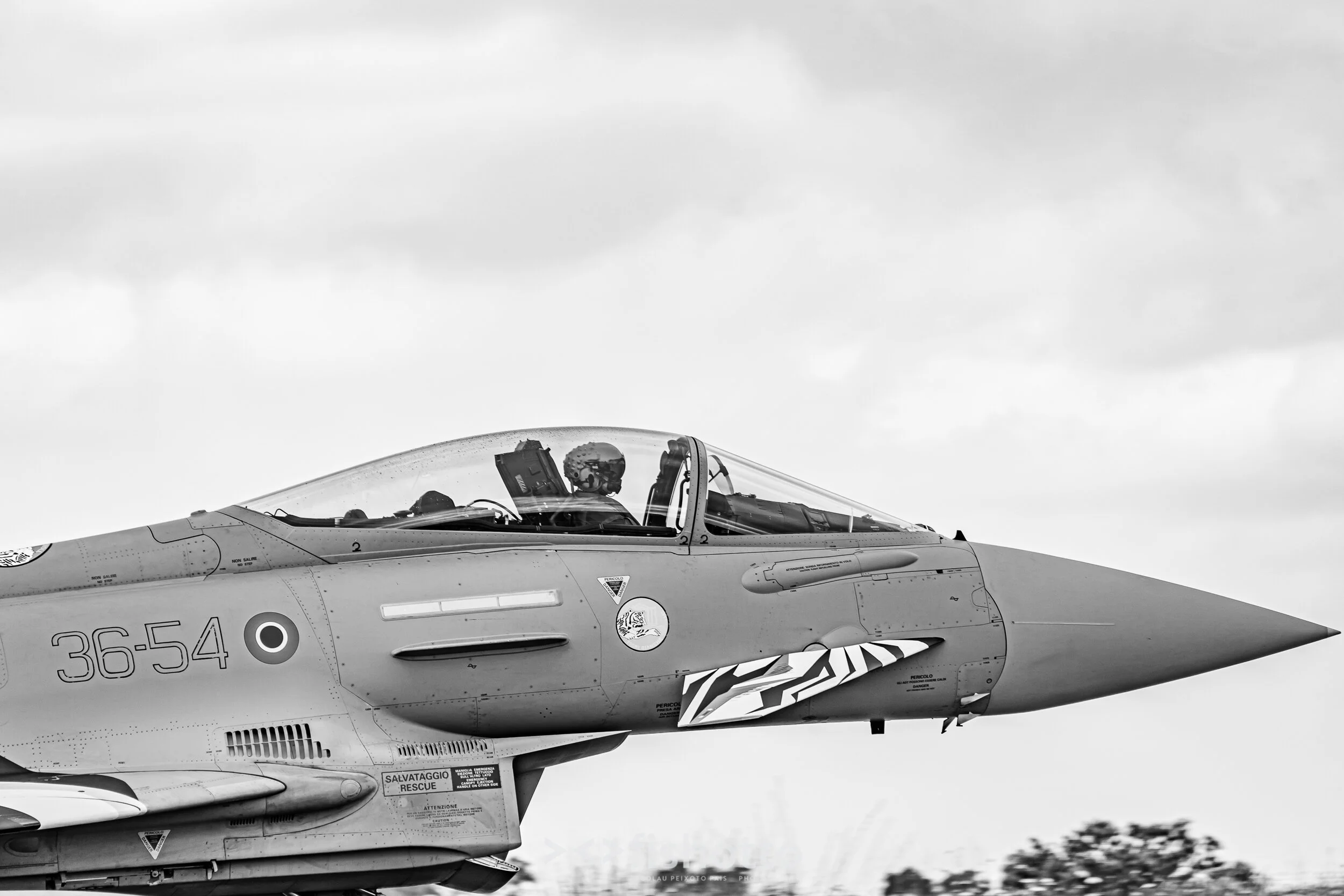 TigerMeet_2021_Best_B&W_2500-20.jpg