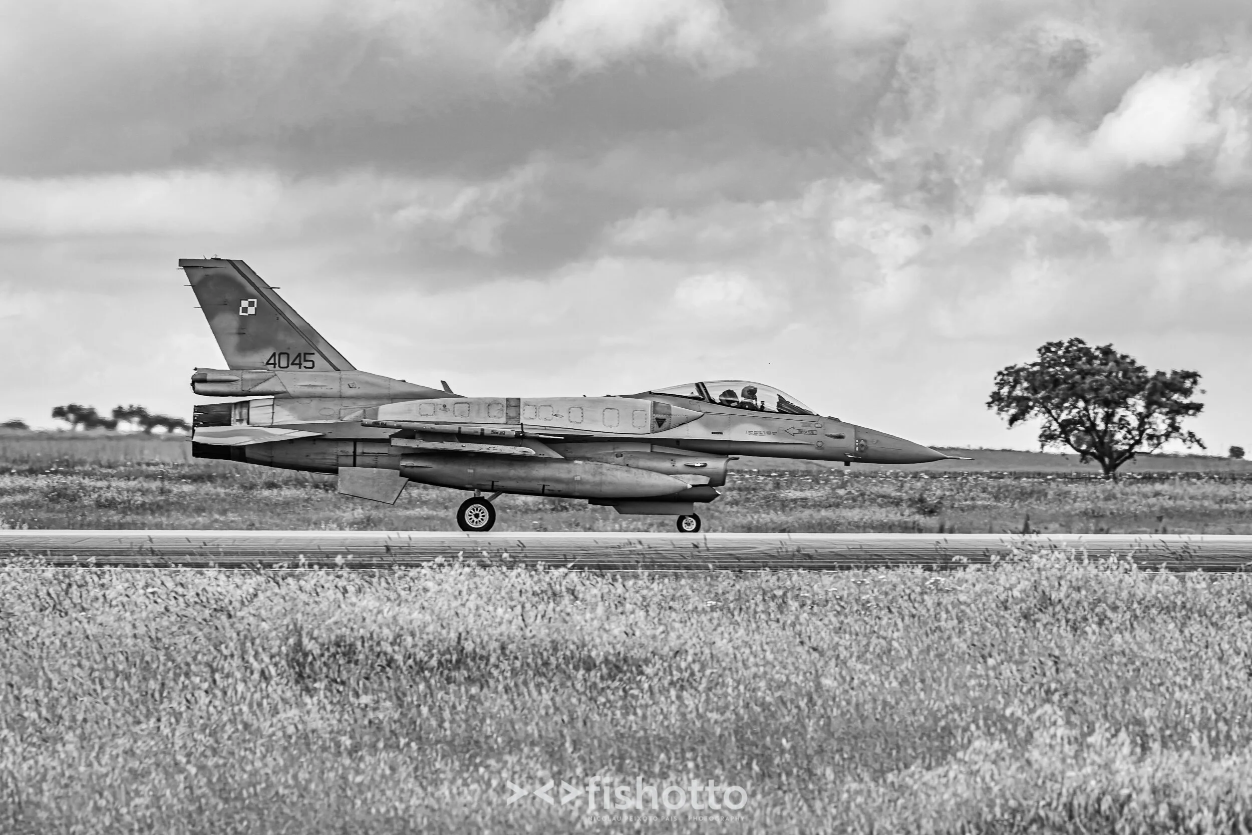TigerMeet_2021_Best_B&W_2500-22.jpg