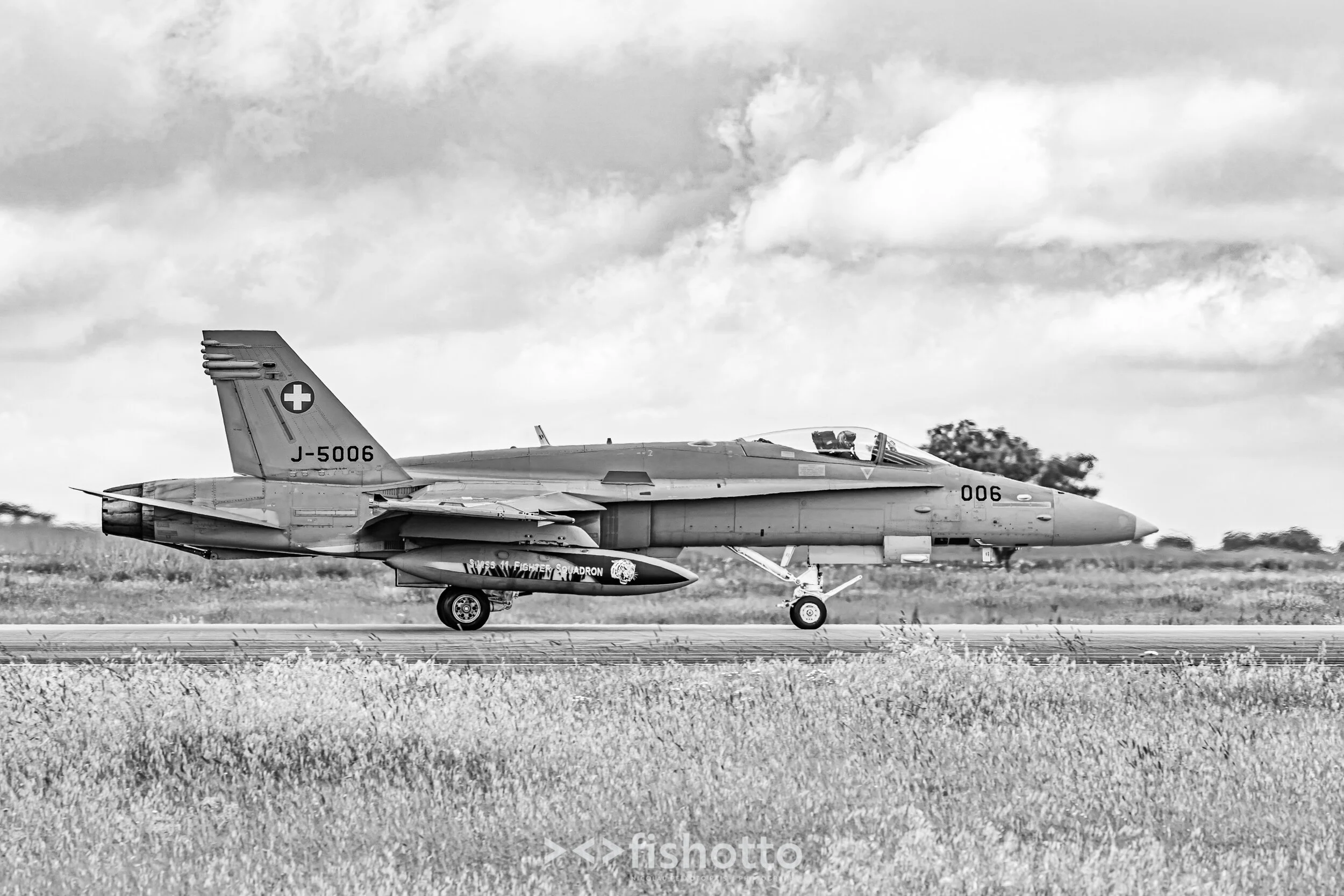 TigerMeet_2021_Best_B&W_2500-23.jpg