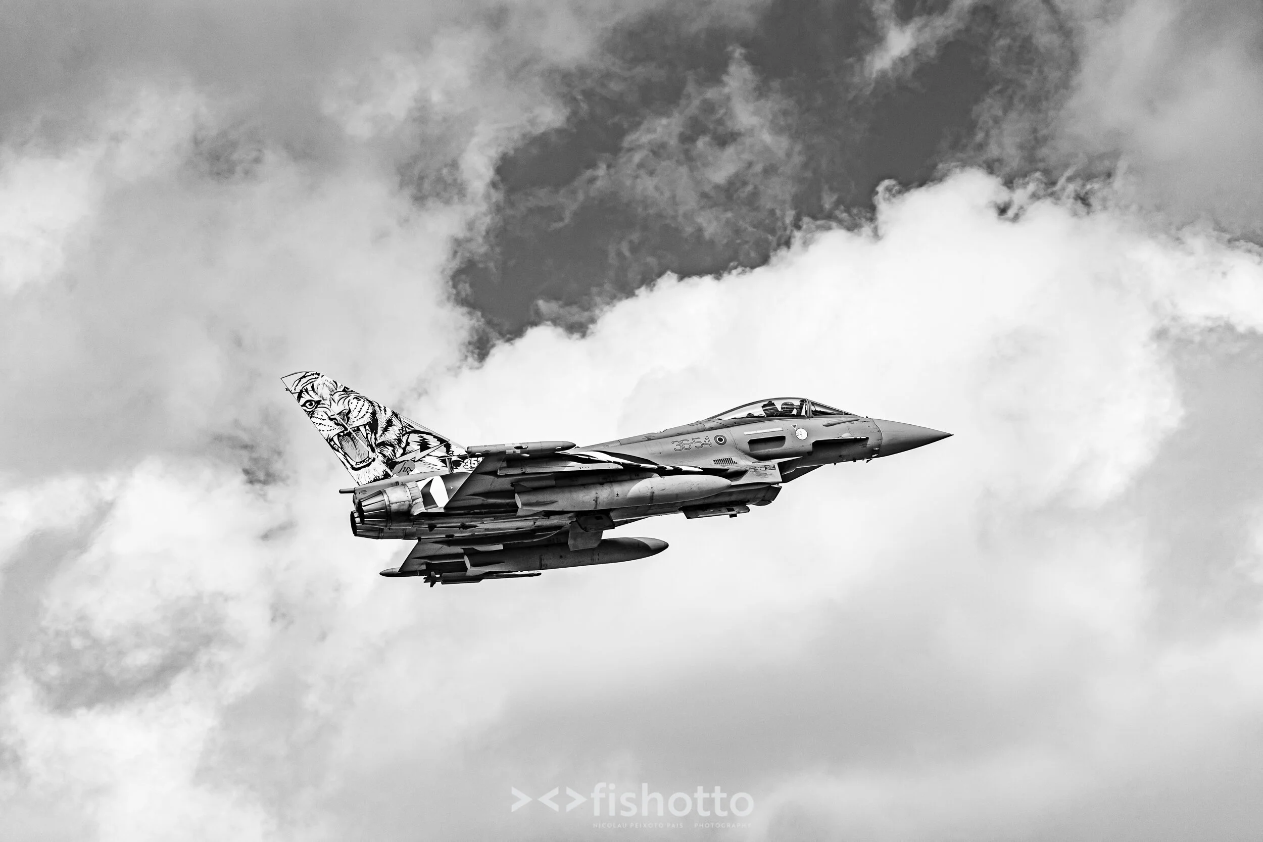 TigerMeet_2021_Best_B&W_2500-29.jpg