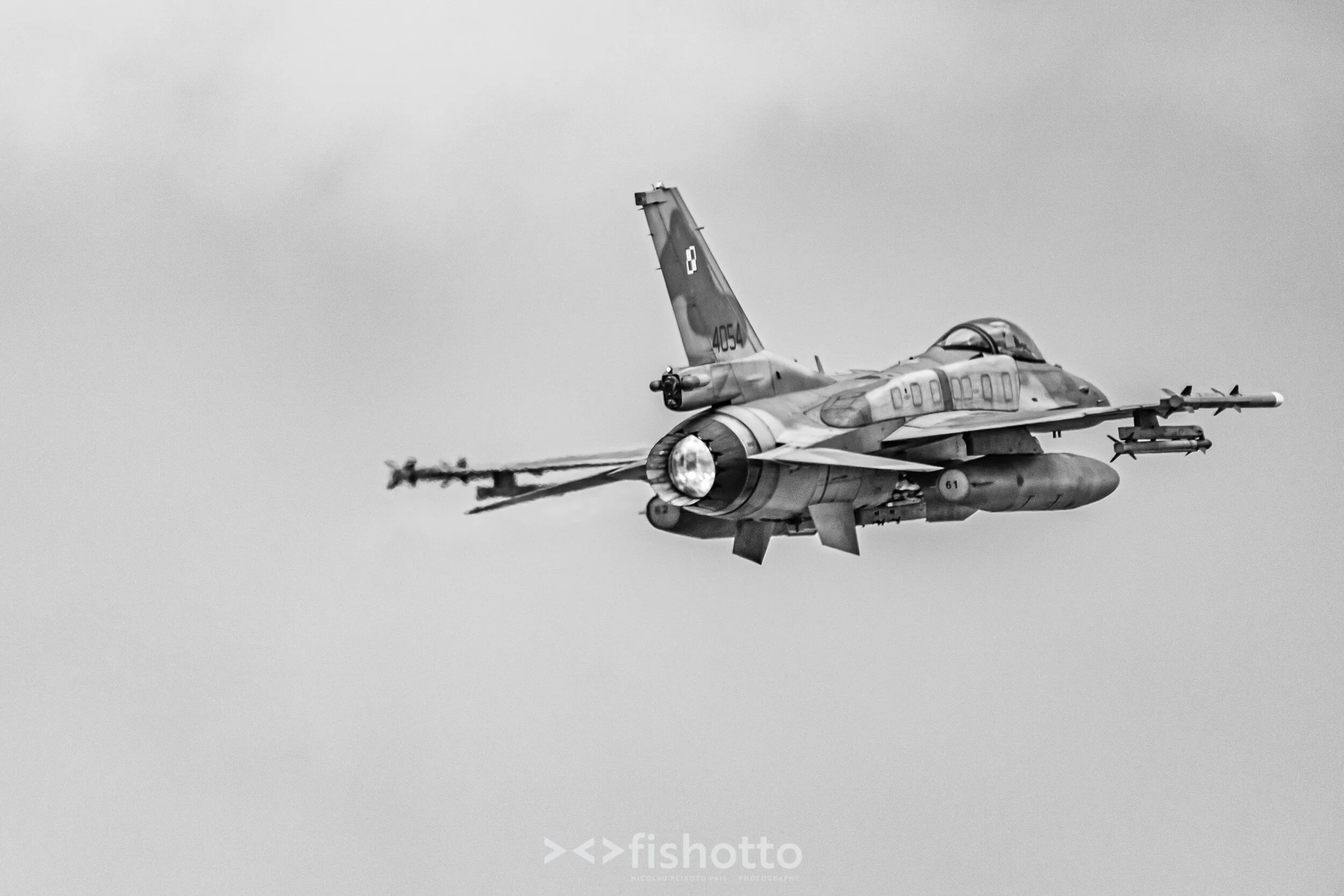 TigerMeet_2021_Best_B&W_2500-33.jpg