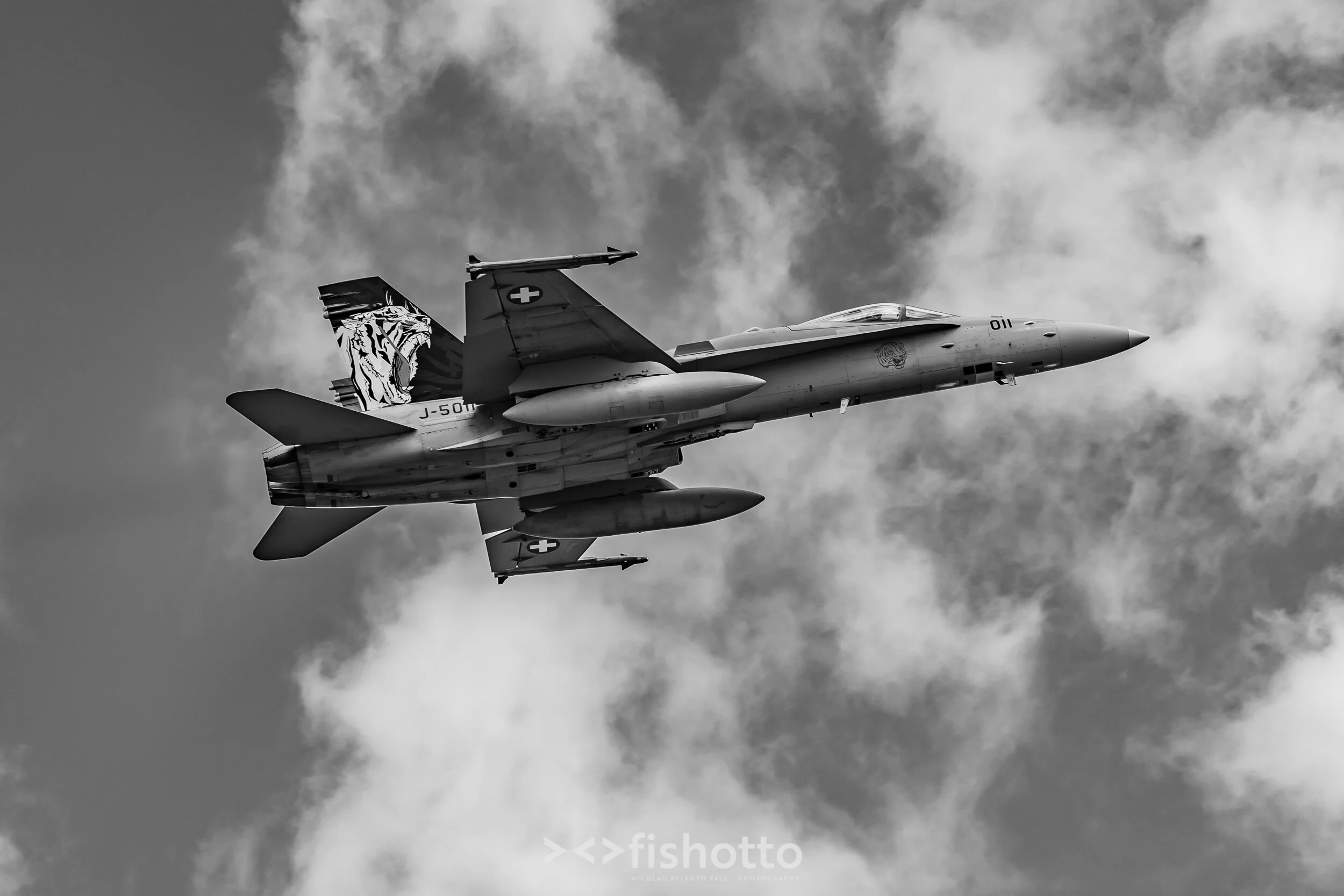 TigerMeet_2021_Best_B&W_2500-34.jpg