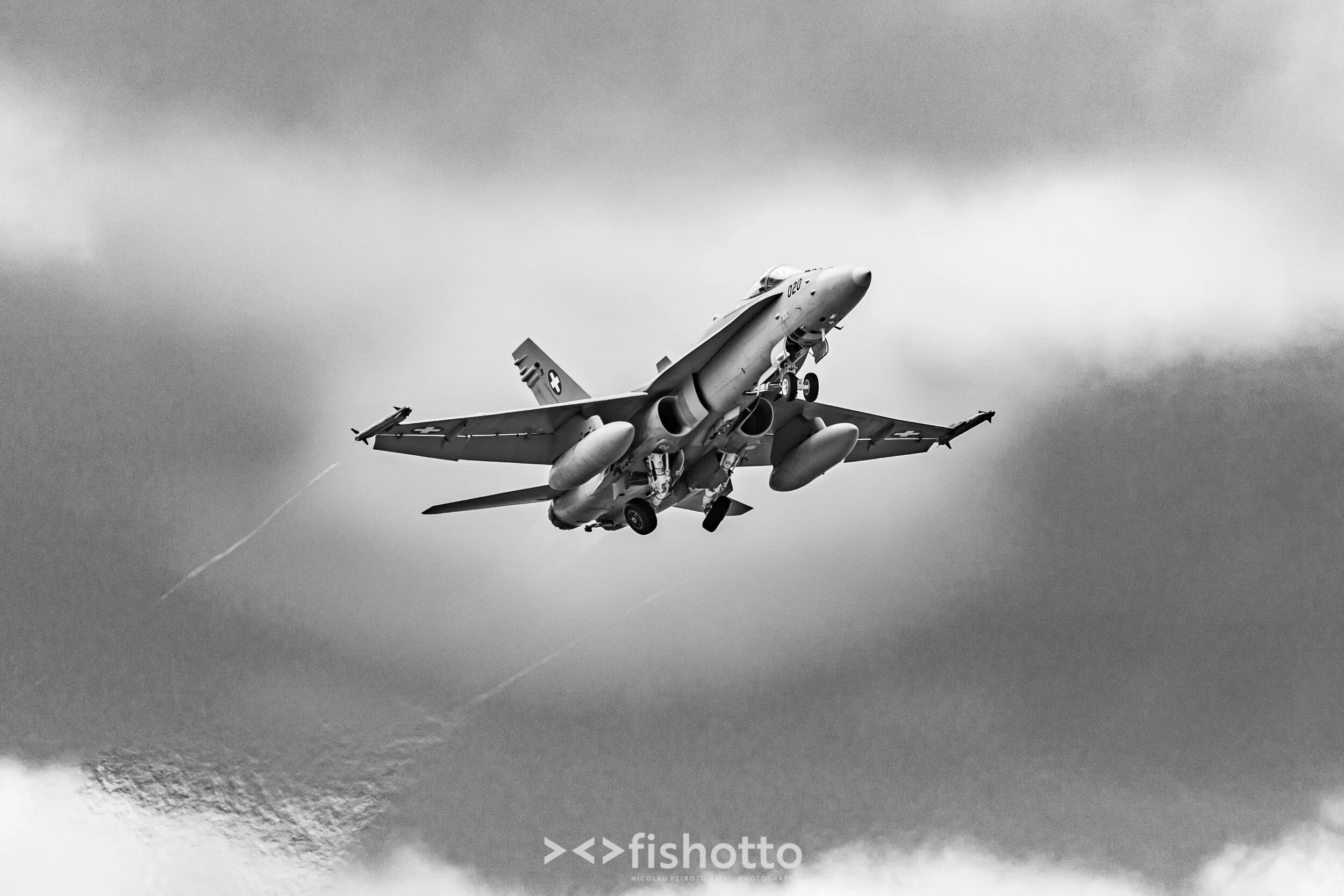 TigerMeet_2021_Best_B&W_2500-36.jpg