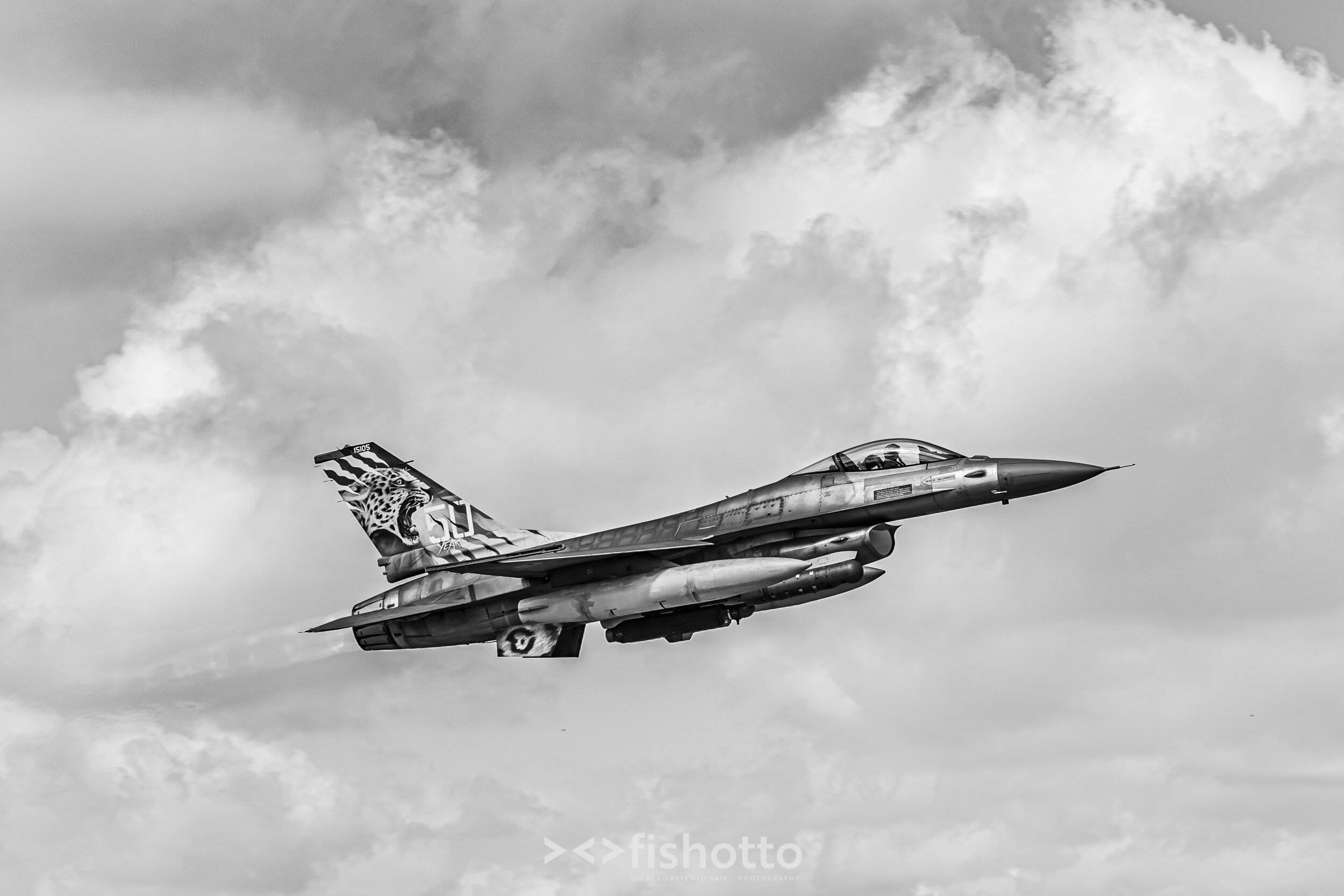 TigerMeet_2021_Best_B&W_2500-39.jpg