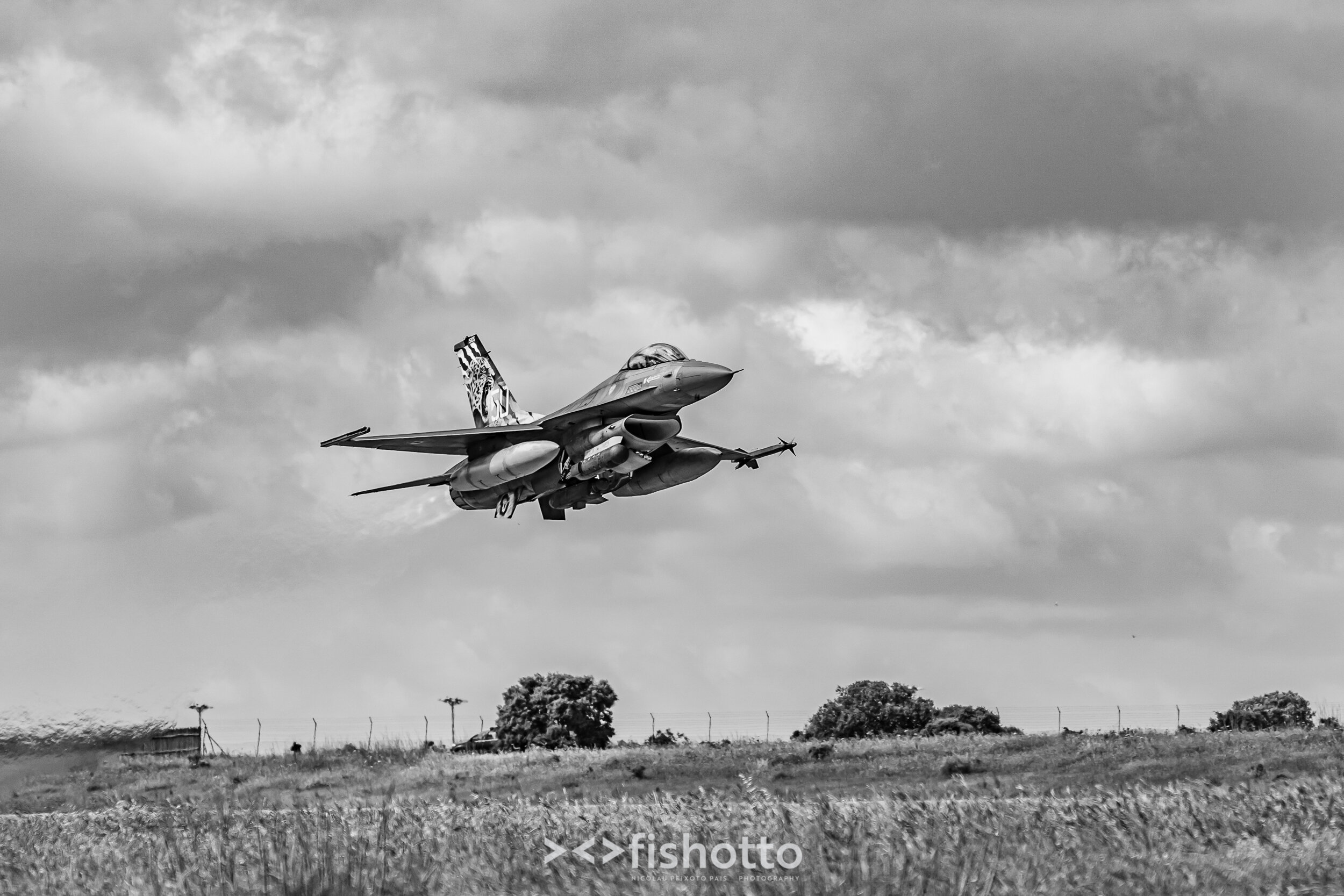 TigerMeet_2021_Best_B&W_2500-38.jpg