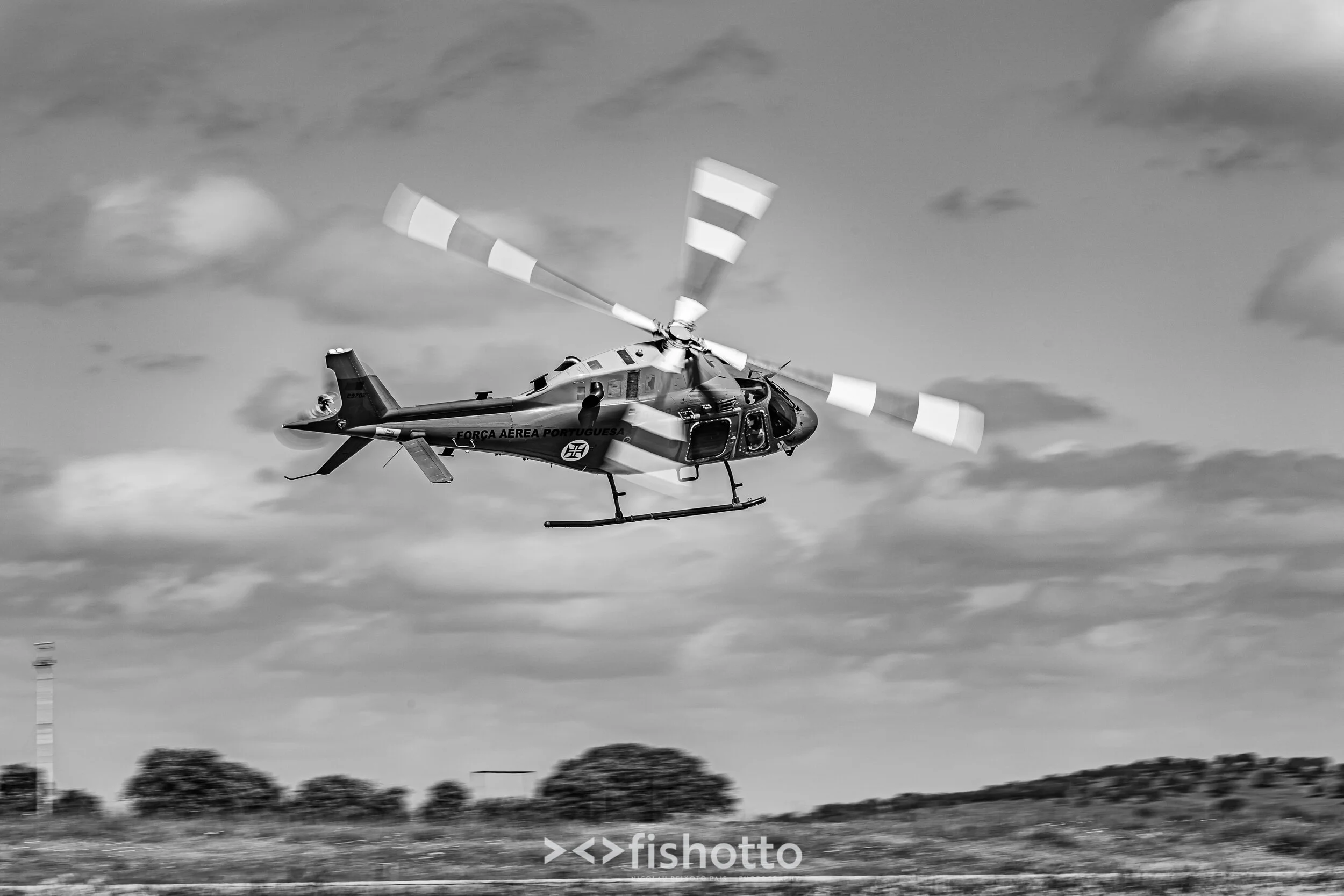 TigerMeet_2021_Best_B&W_2500-40.jpg