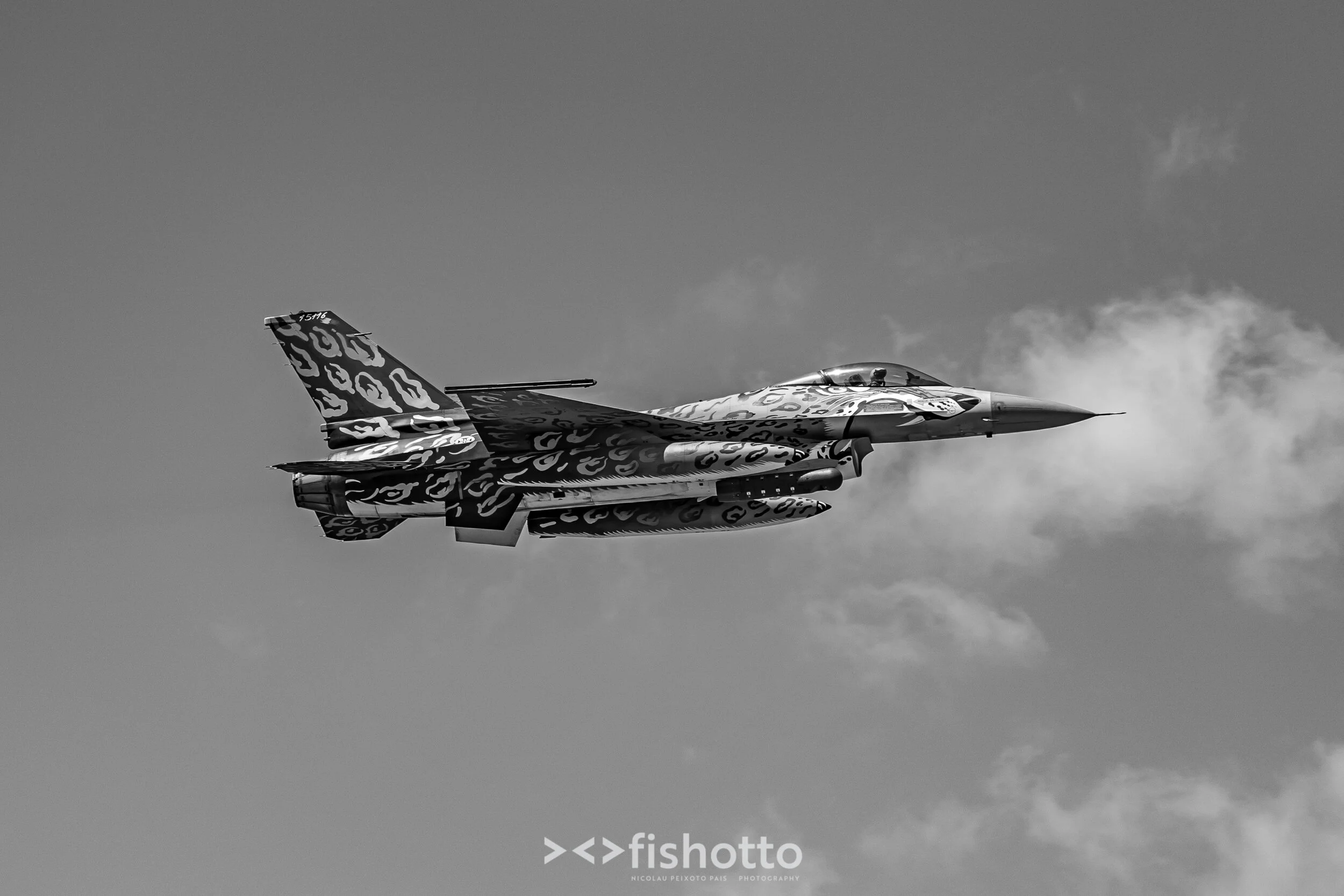 TigerMeet_2021_Best_B&W_2500-41.jpg