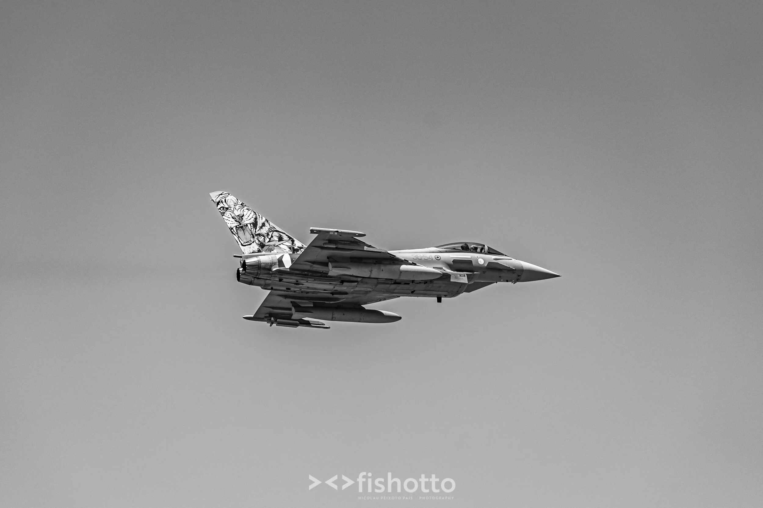 TigerMeet_2021_Best_B&W_2500-48.jpg
