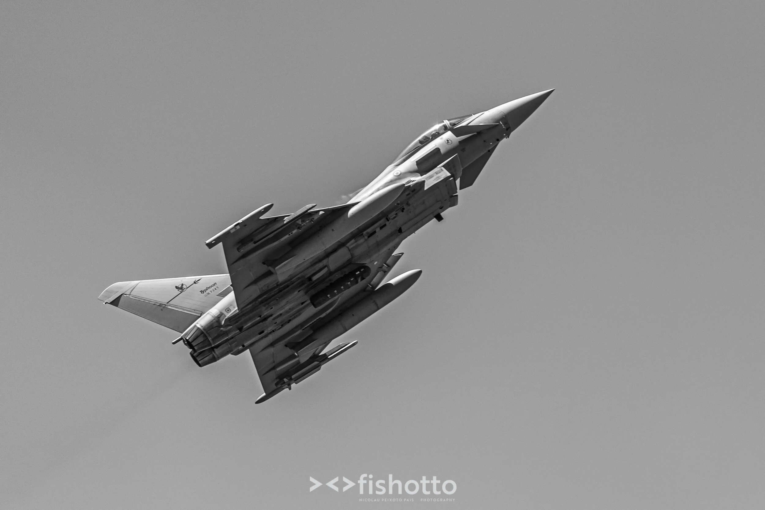 TigerMeet_2021_Best_B&W_2500-49.jpg