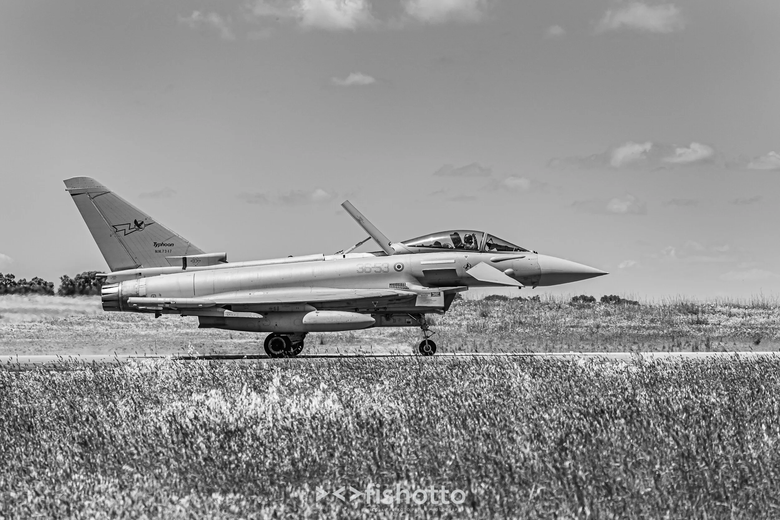 TigerMeet_2021_Best_B&W_2500-51.jpg