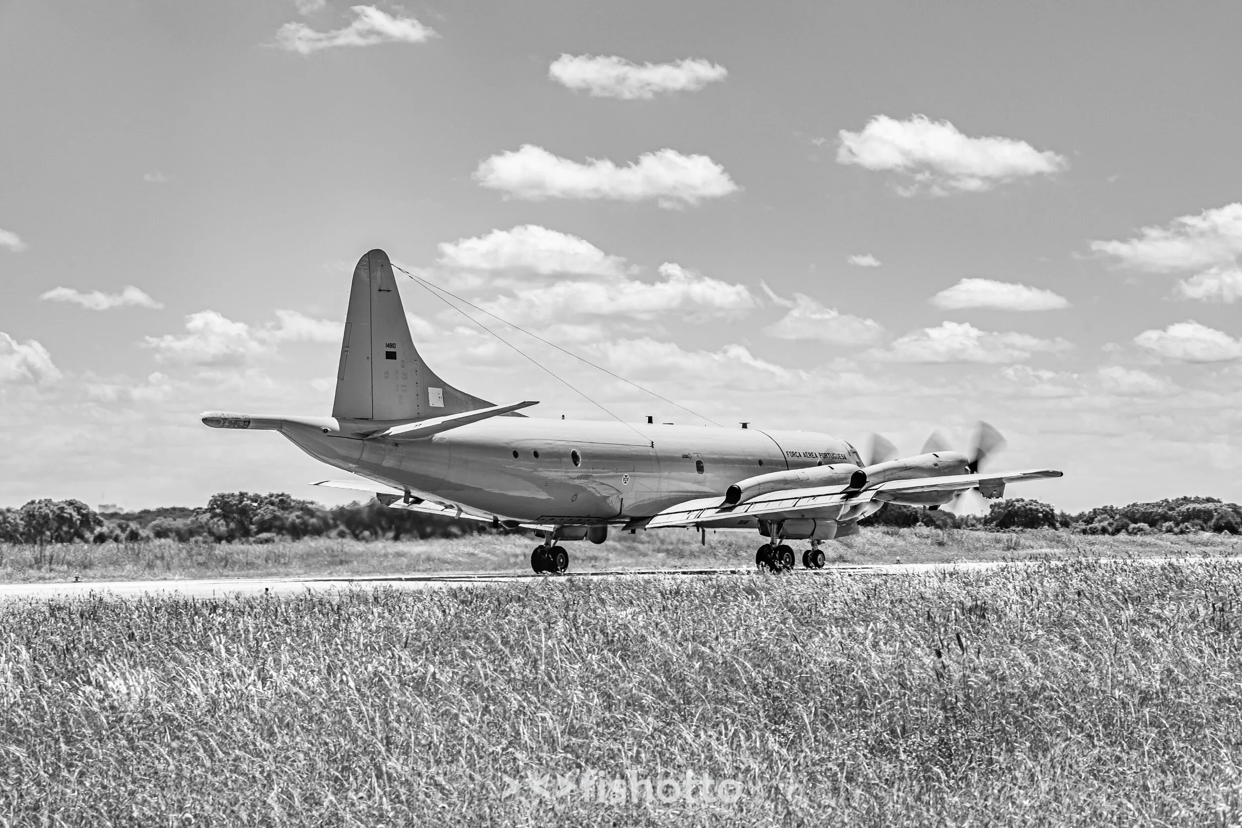 TigerMeet_2021_Best_B&W_2500-52.jpg