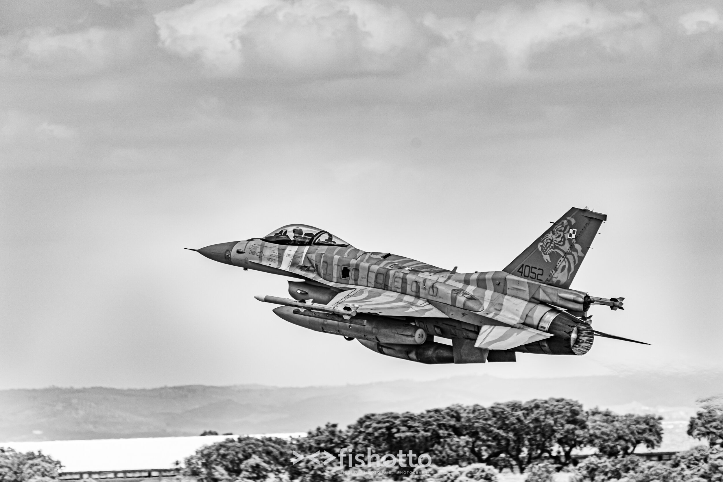 TigerMeet_2021_Best_B&W_2500-57.jpg