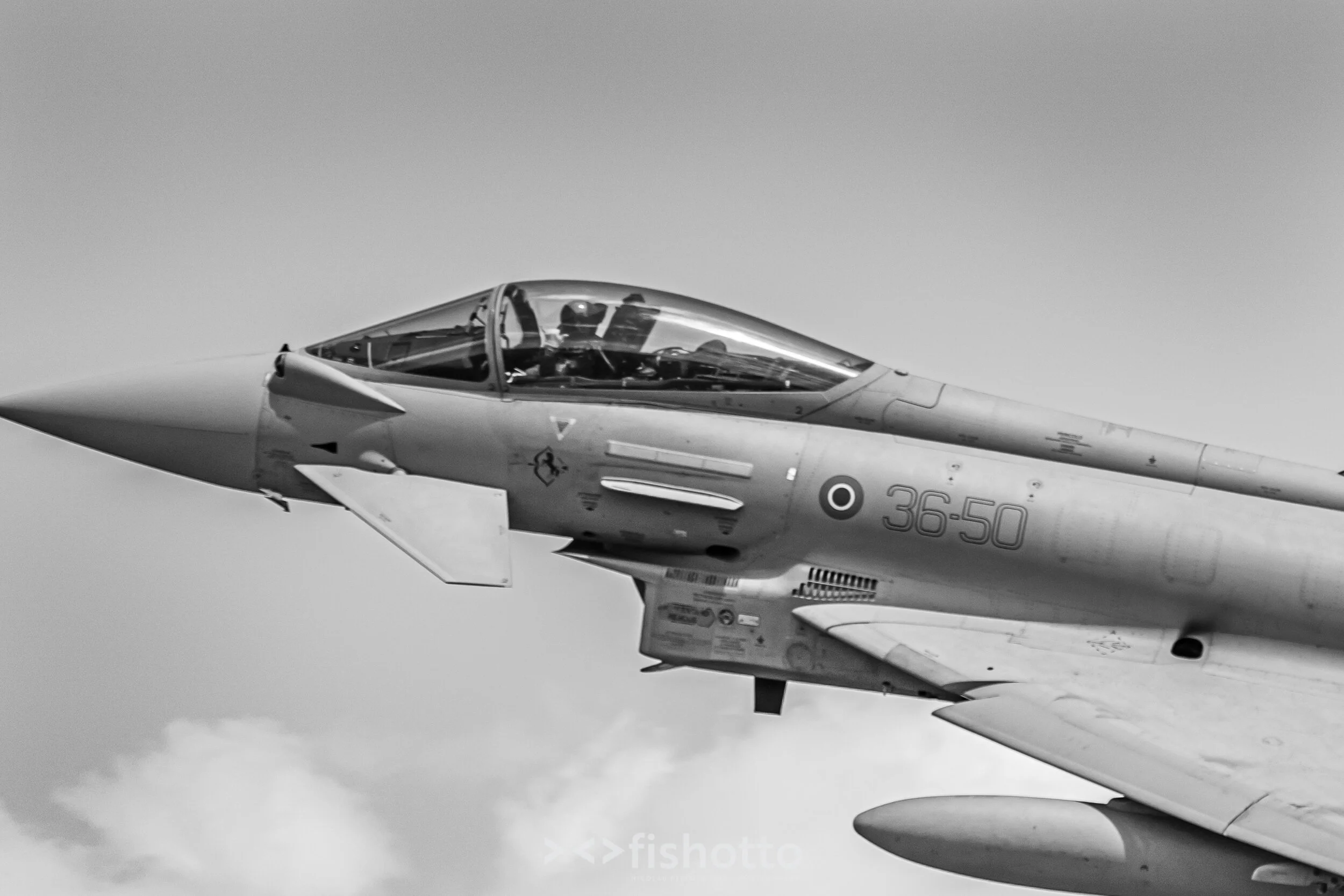 TigerMeet_2021_Best_B&W_2500-62.jpg