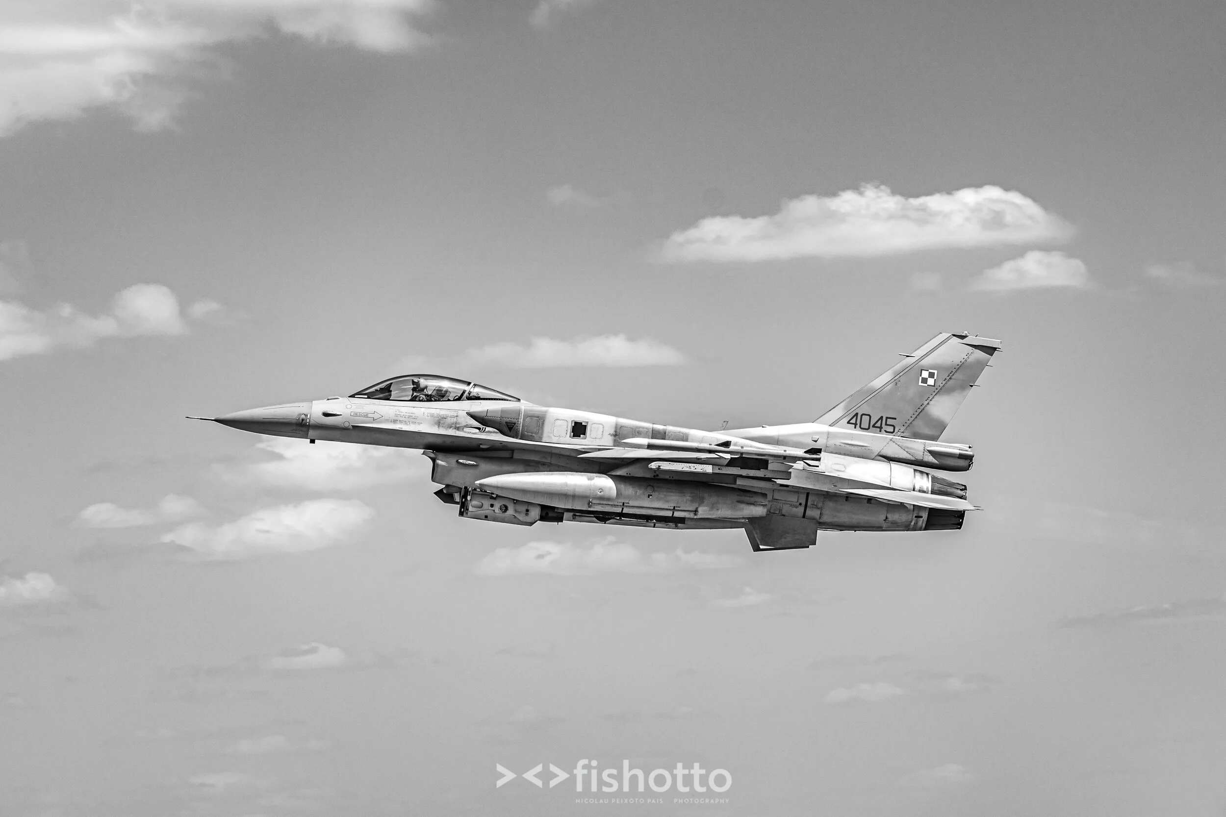 TigerMeet_2021_Best_B&W_2500-64.jpg