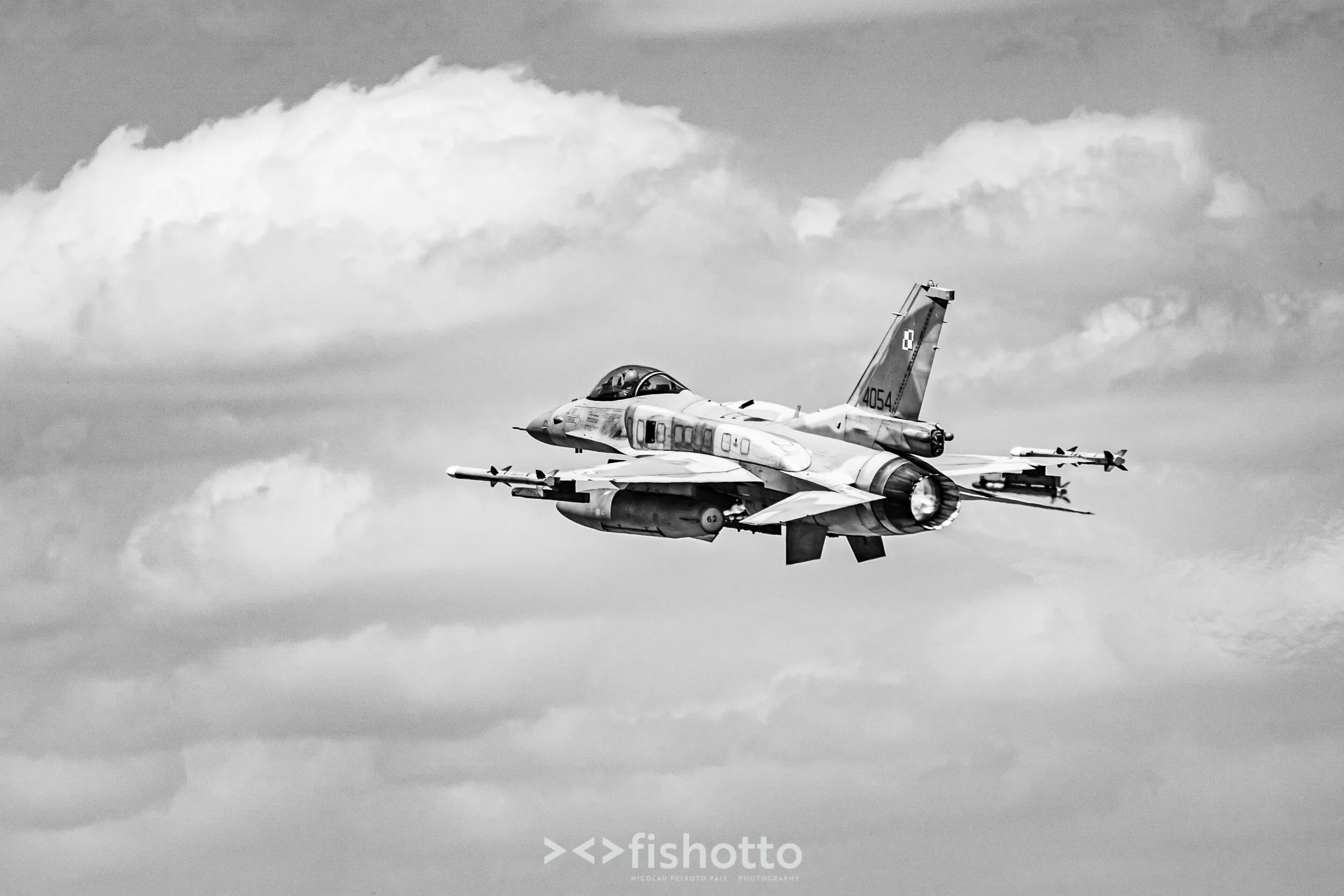TigerMeet_2021_Best_B&W_2500-65.jpg
