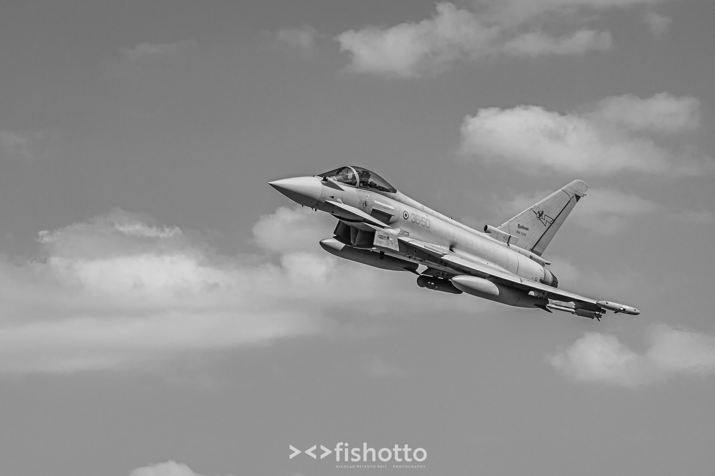 TigerMeet_2021_Best_B&W_2500-69.jpg