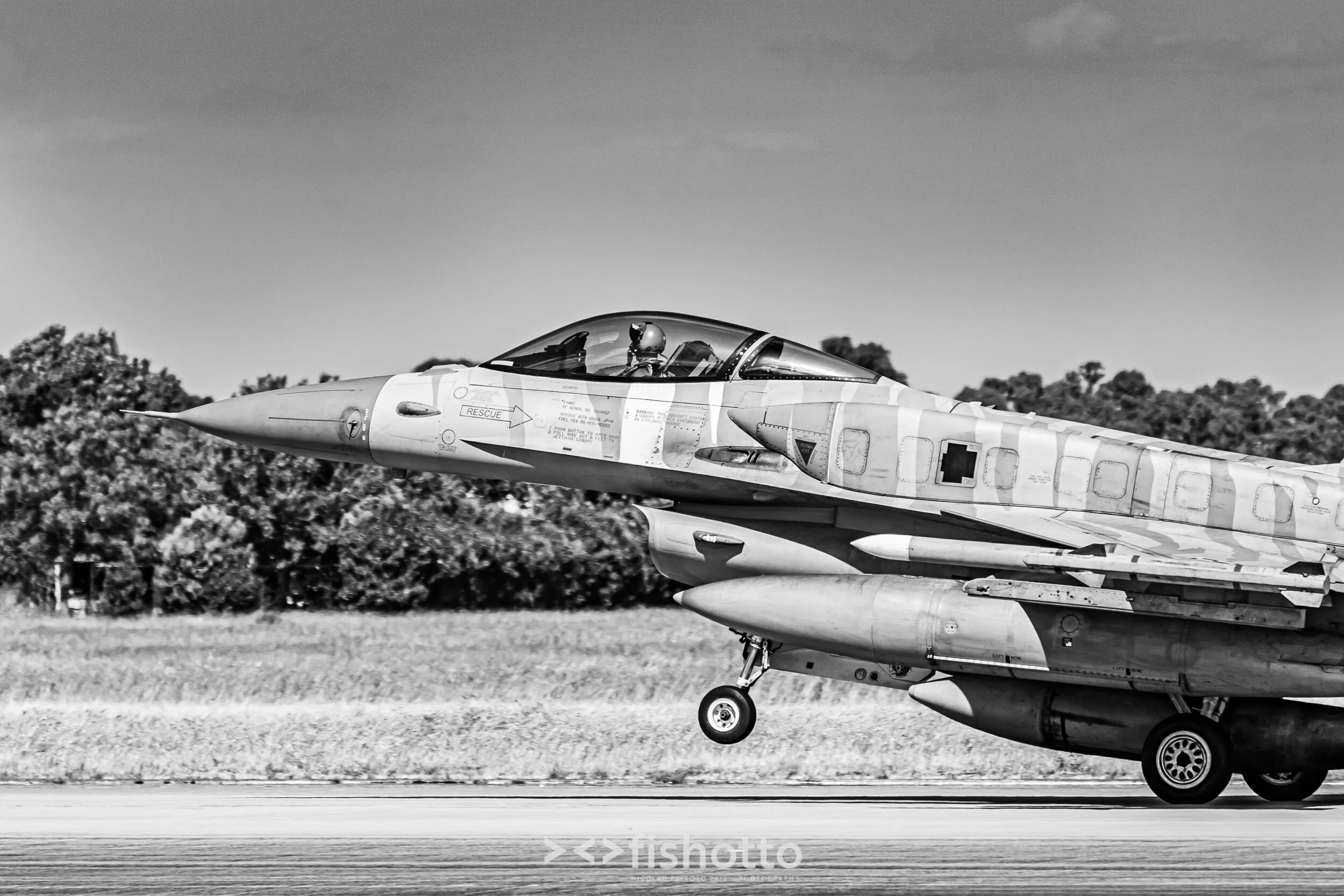 TigerMeet_2021_Best_B&W_2500-72.jpg