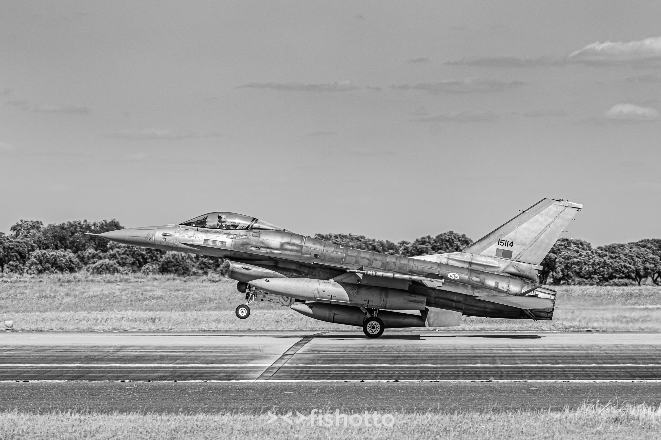 TigerMeet_2021_Best_B&W_2500-73.jpg