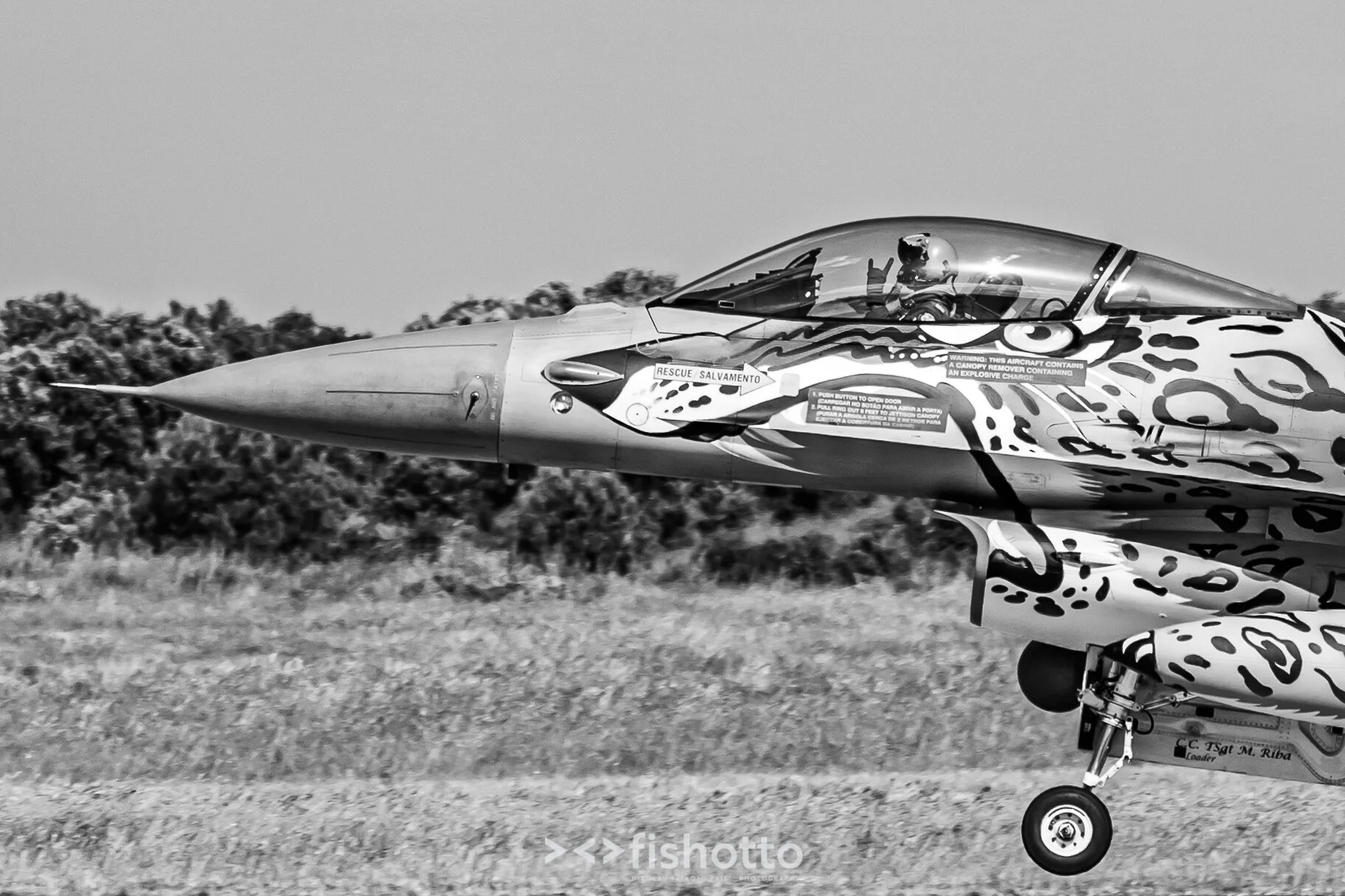 TigerMeet_2021_Best_B&W_2500-75.jpg