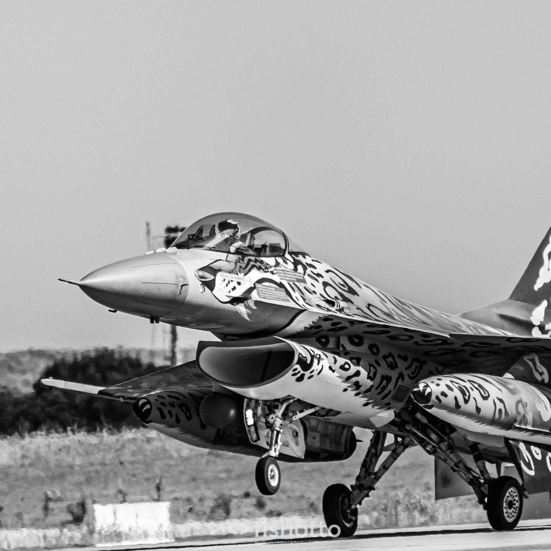 TigerMeet_2021_Best_B&W_2500-74.jpg