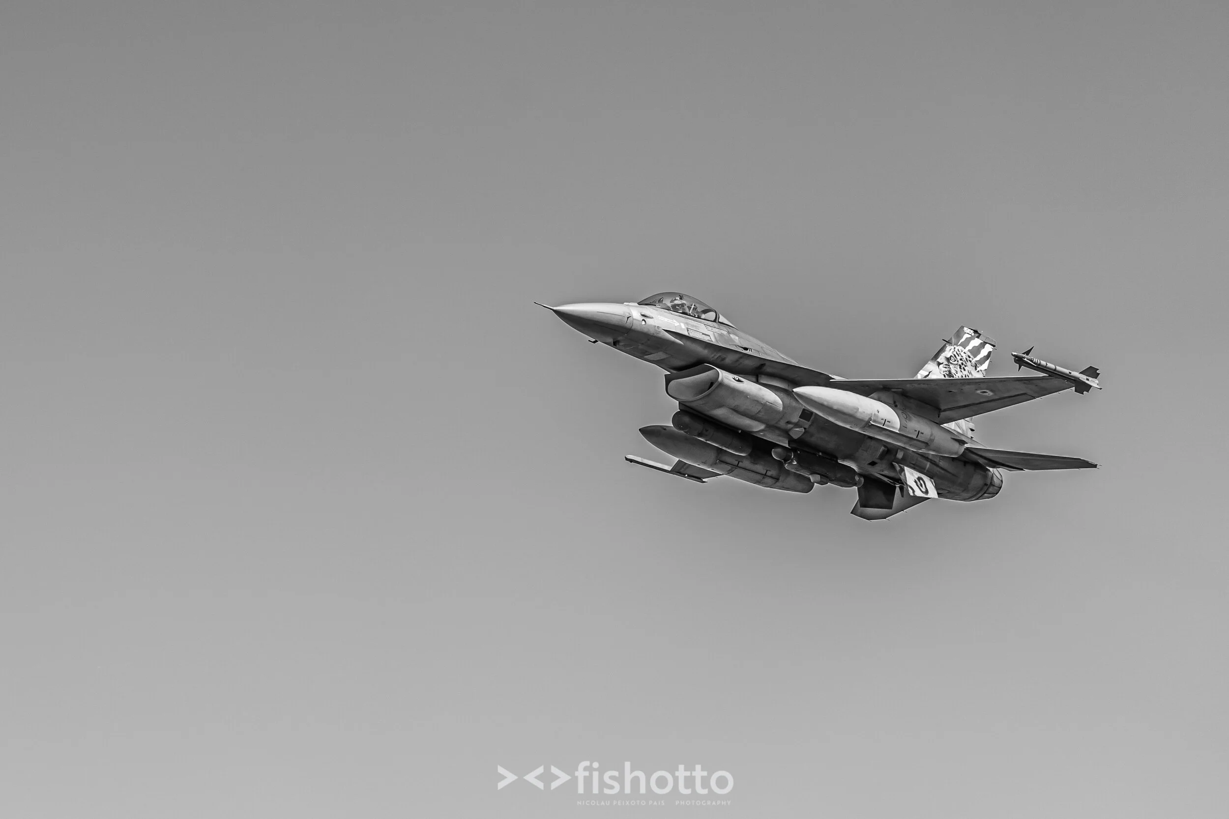 TigerMeet_2021_Best_B&W_2500-77.jpg