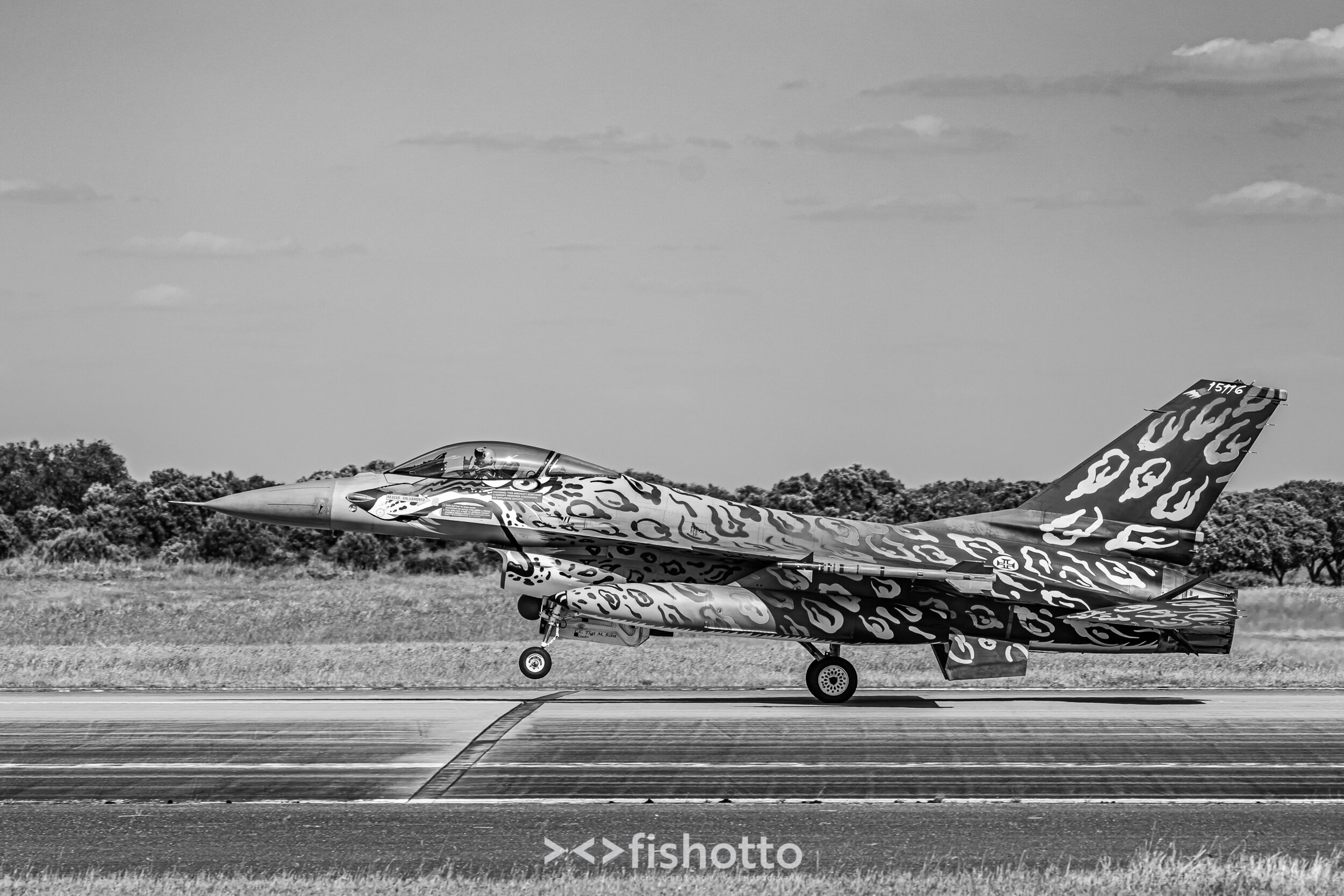 TigerMeet_2021_Best_B&W_2500-76.jpg