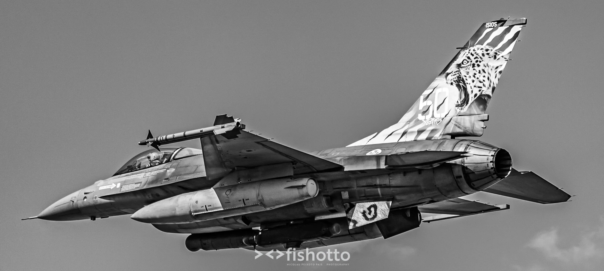 TigerMeet_2021_Best_B&W_2500-79.jpg