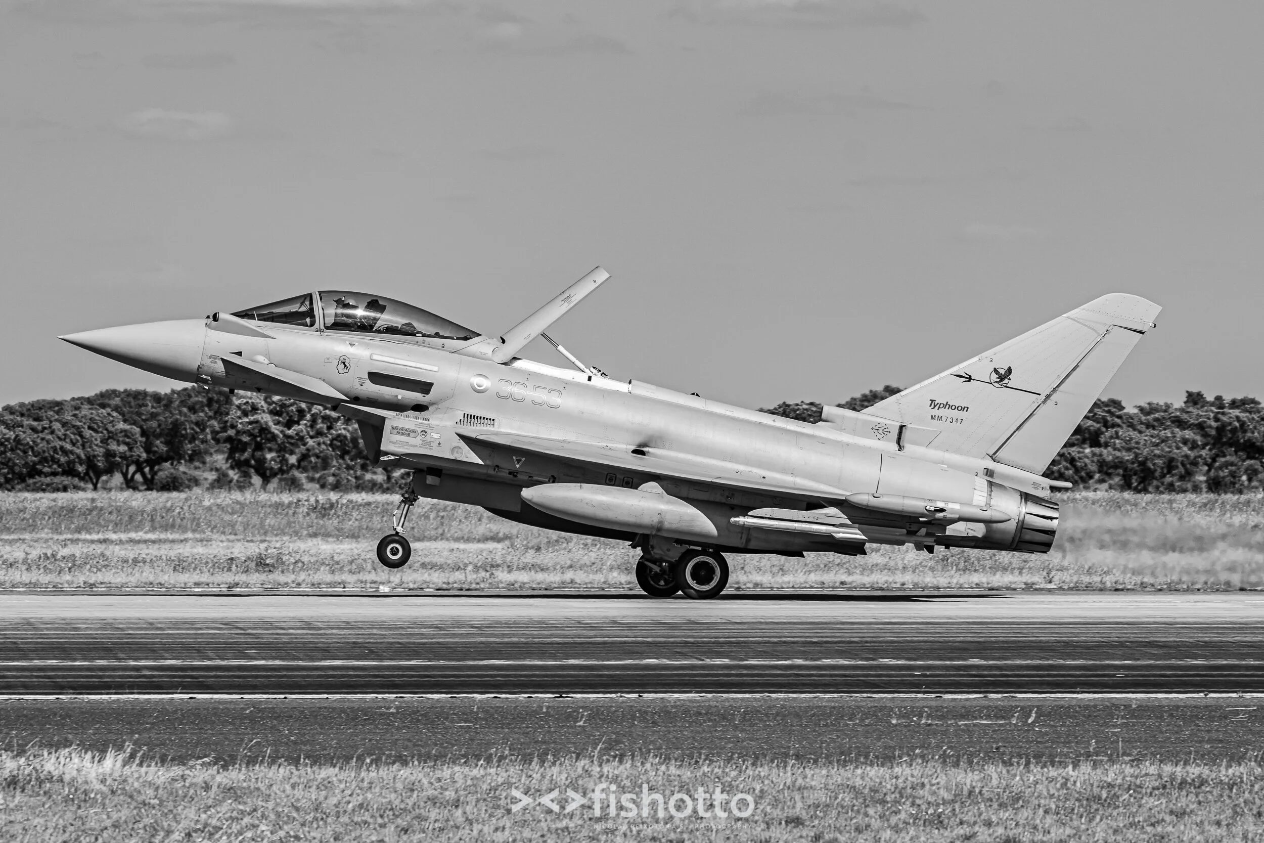 TigerMeet_2021_Best_B&W_2500-81.jpg