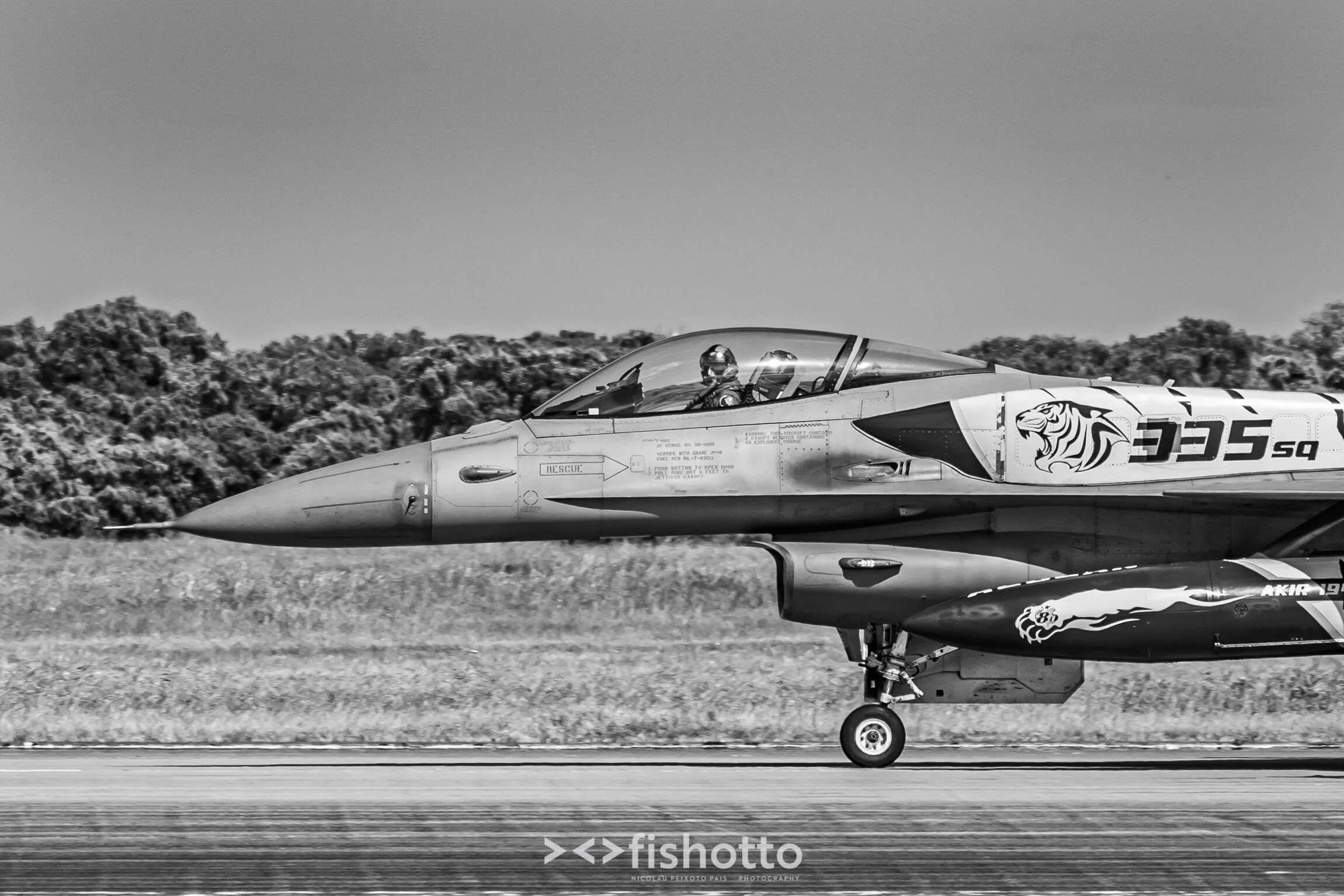 TigerMeet_2021_Best_B&W_2500-84.jpg