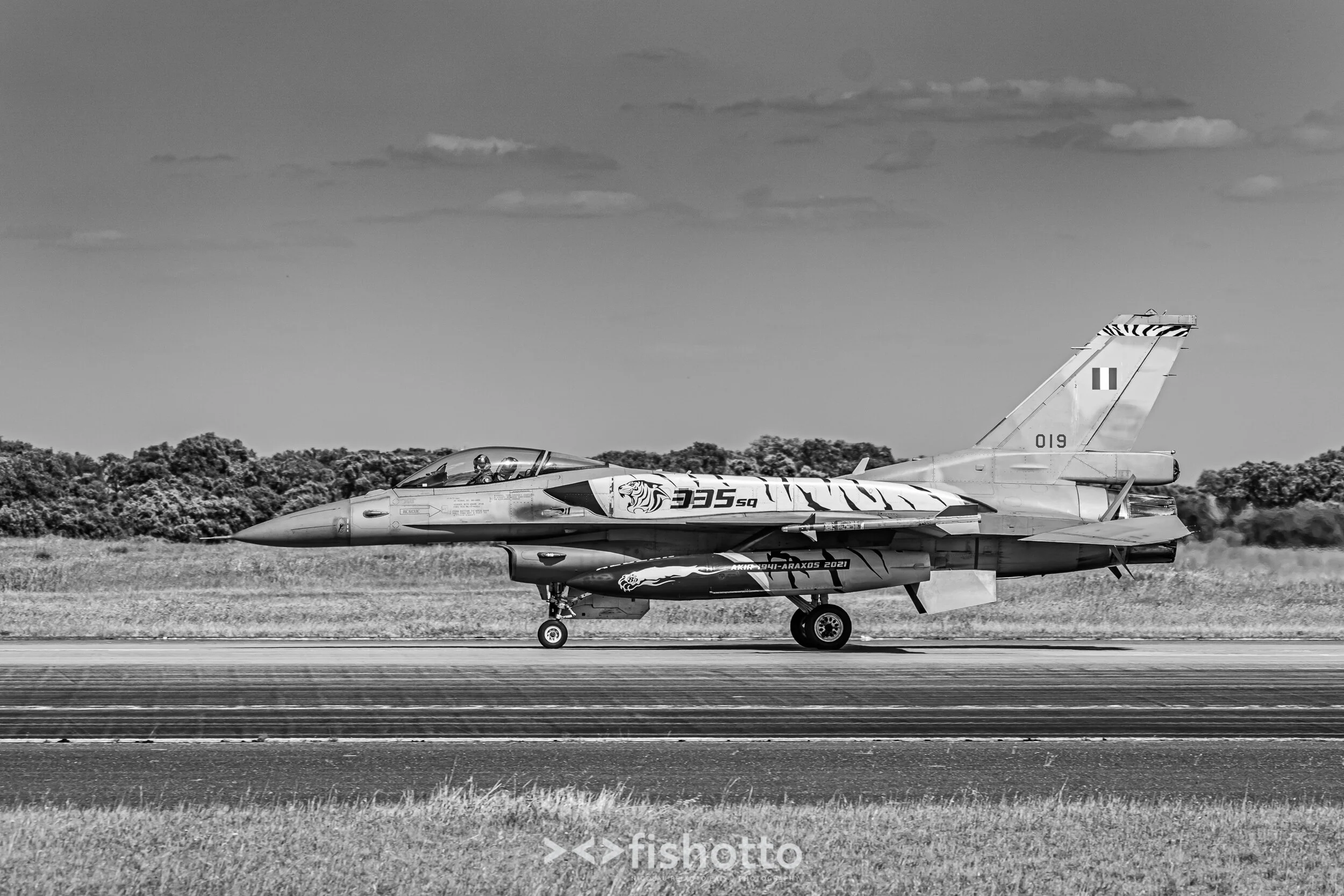 TigerMeet_2021_Best_B&W_2500-85.jpg