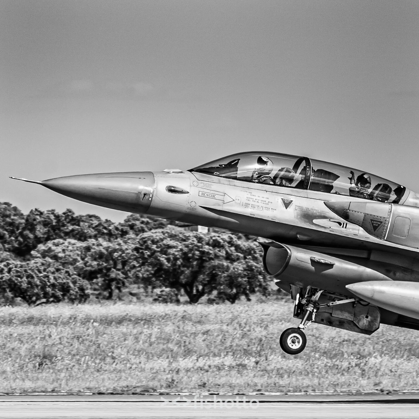 TigerMeet_2021_Best_B&W_2500-87.jpg