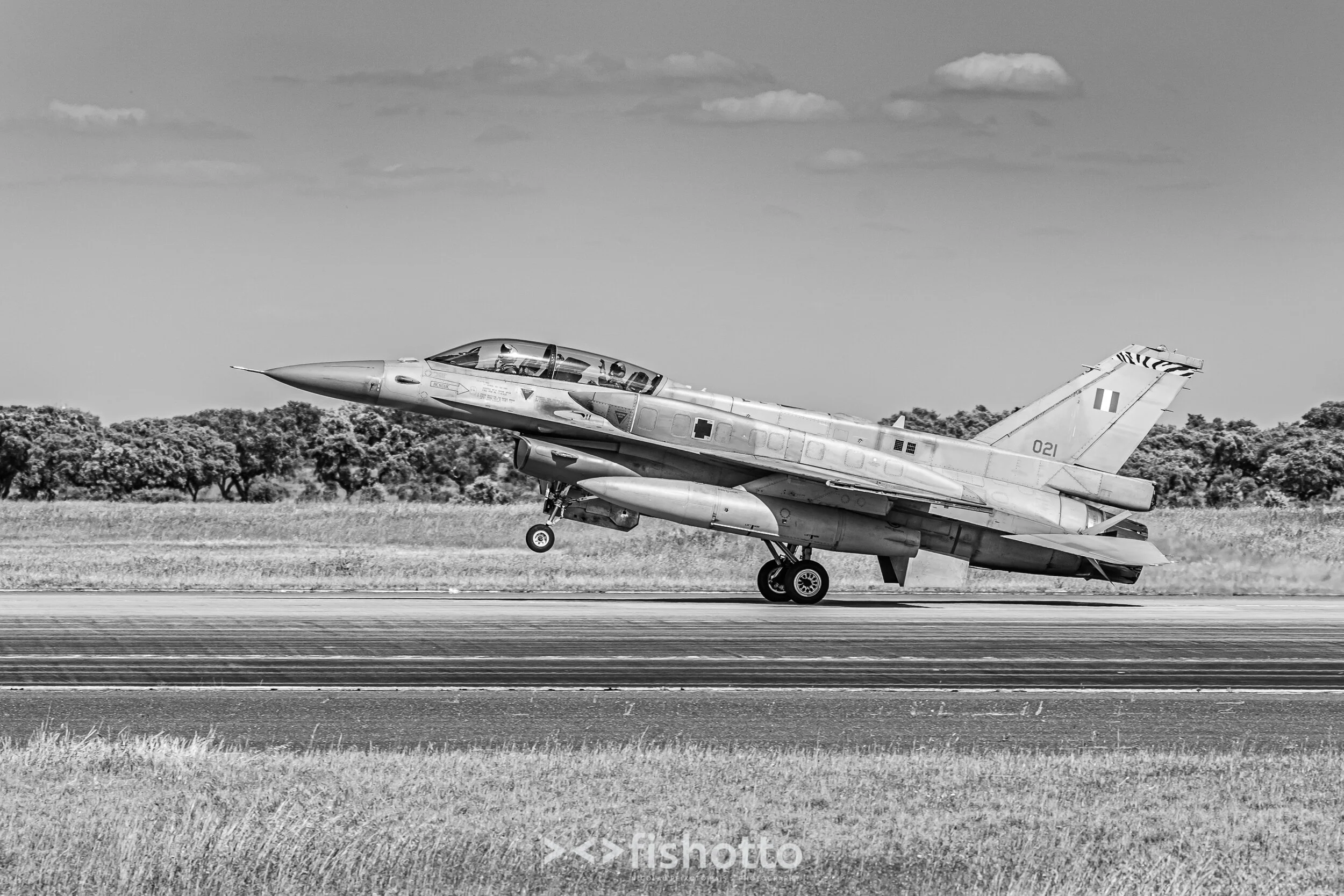 TigerMeet_2021_Best_B&W_2500-88.jpg
