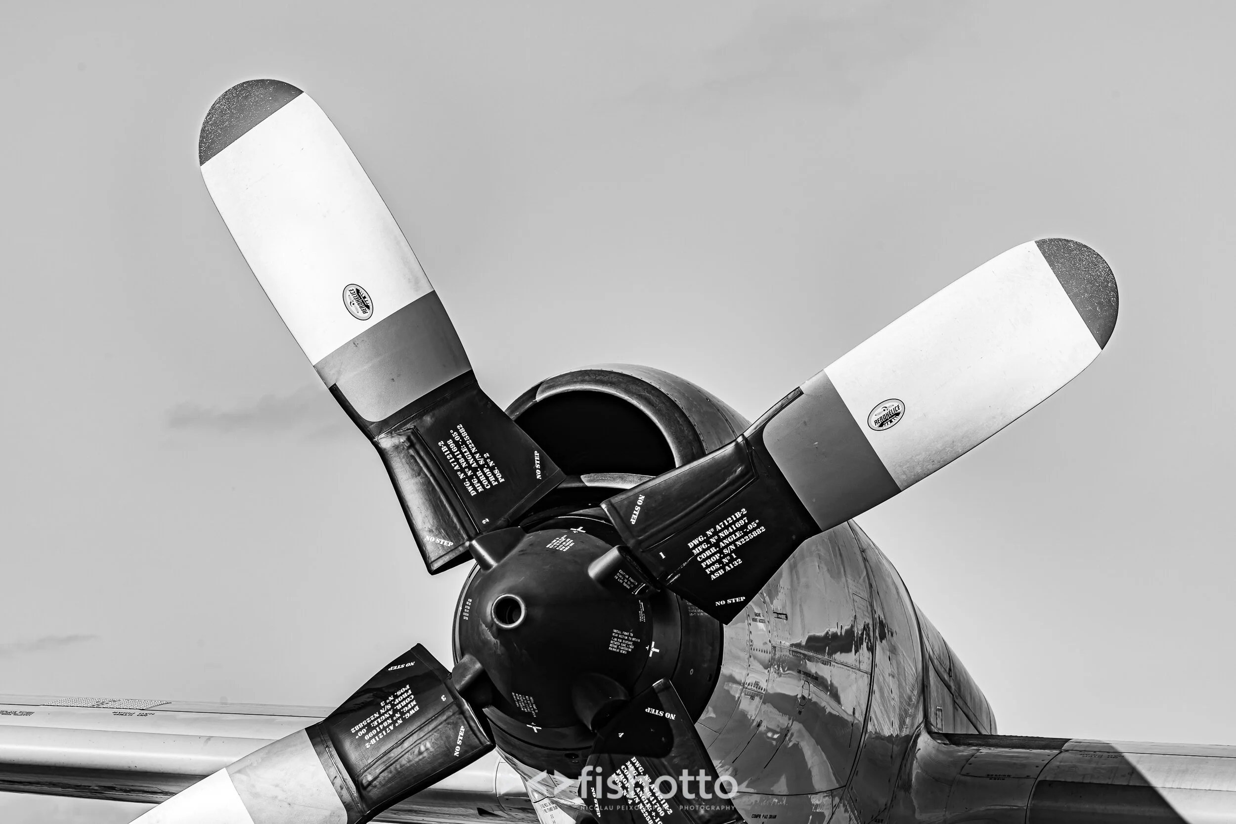 TigerMeet_2021_Best_B&W_2500-97.jpg