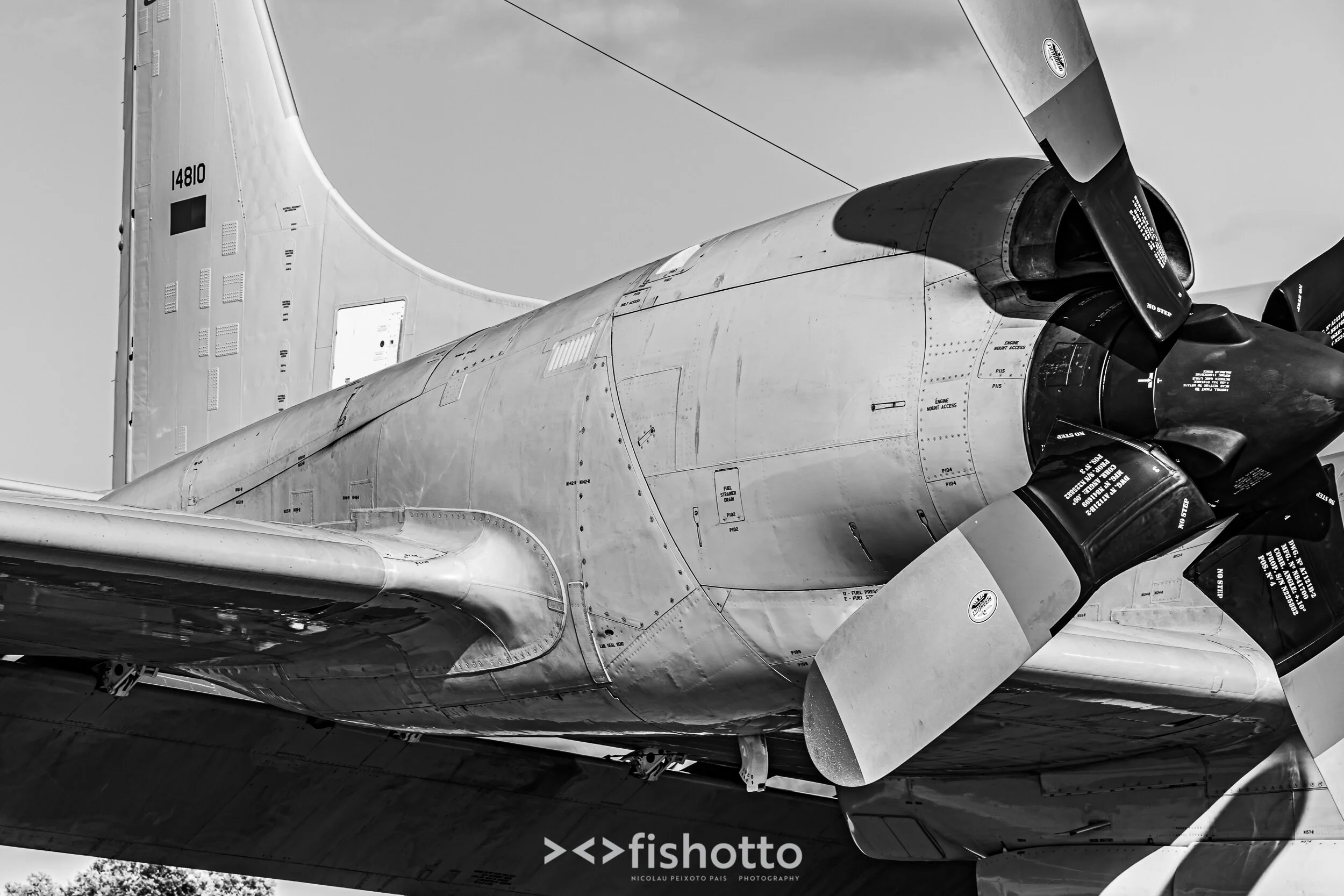 TigerMeet_2021_Best_B&W_2500-98.jpg